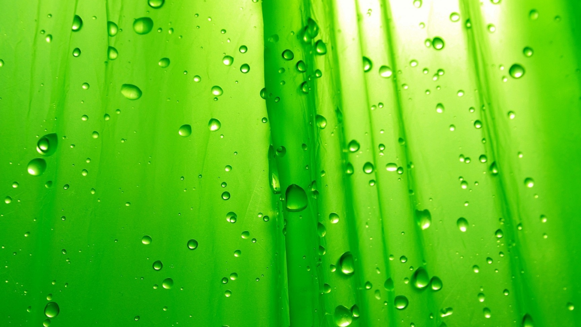 1920x1080 Green Raindrop Wallpaper High Definition, High Resolution HD Wallpapers : High Definition, High Resolution HD Wallpapers