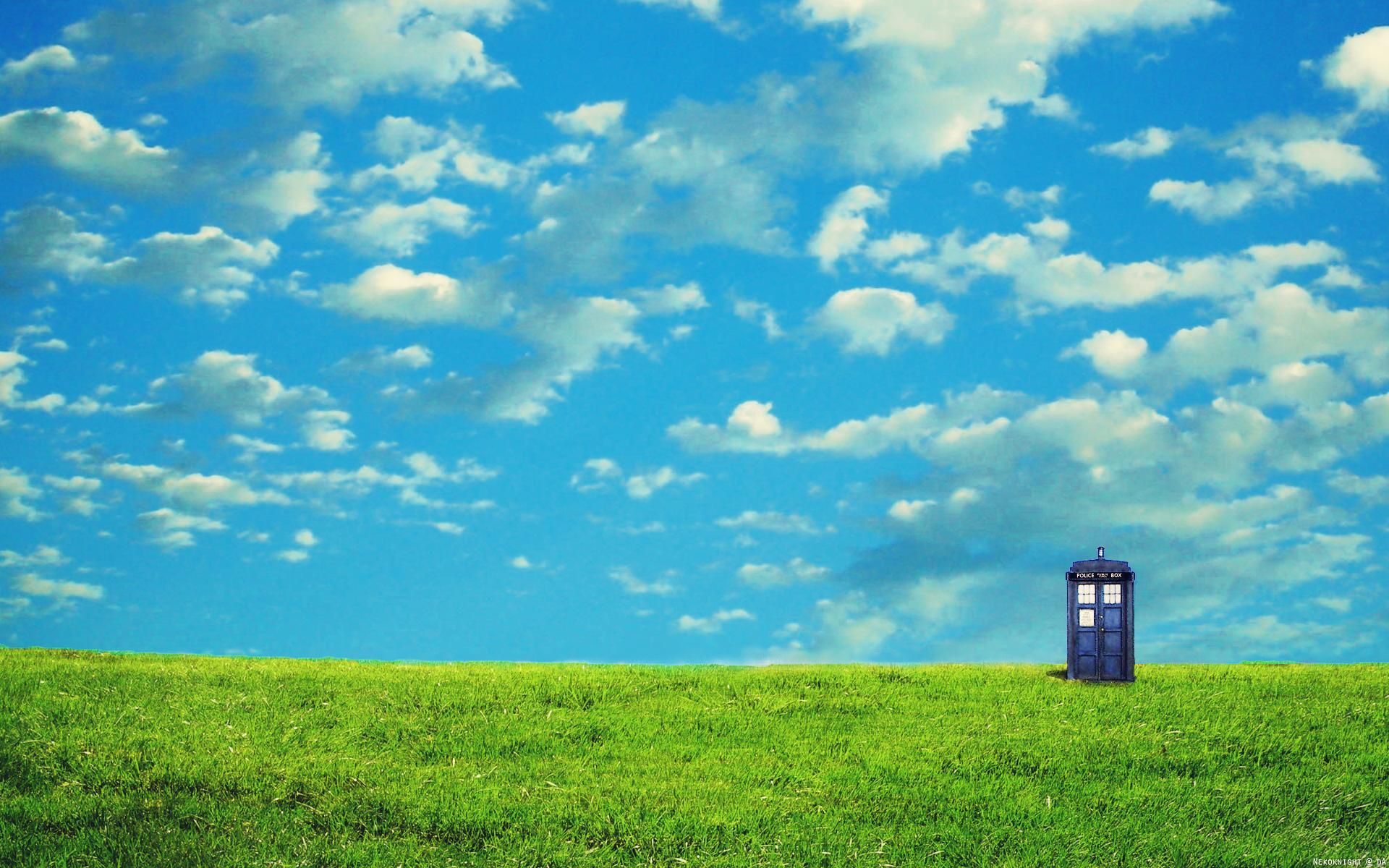 1920x1200 The Beautiful TARDIS frolicking in the meadows. | Tardis wallpaper, Tardis, Wallpaper
