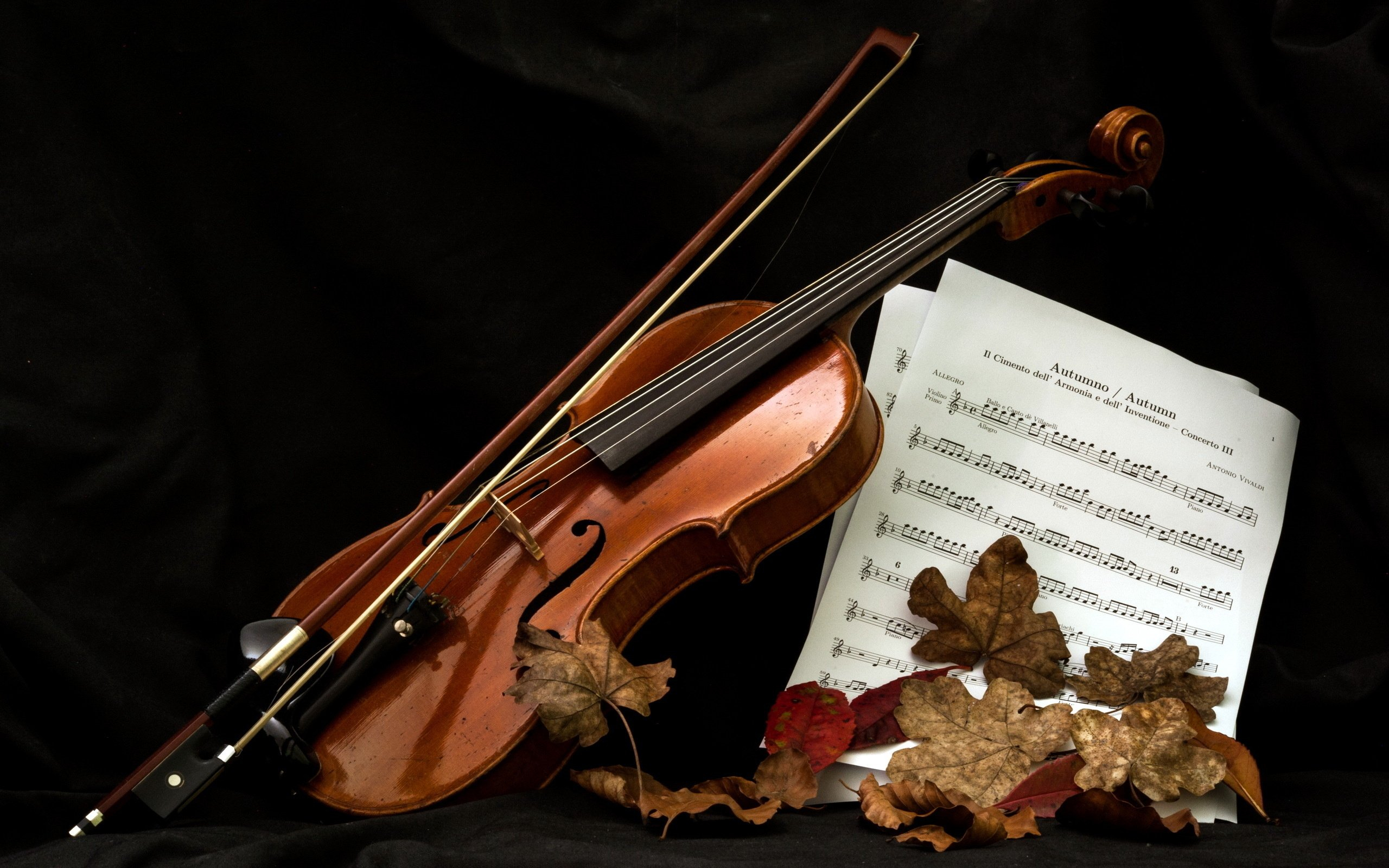 2560x1600 music, Instrument, Violin, Notes, Love, Mood, Leaf Wallpapers HD / Desktop and Mobile Backgrounds