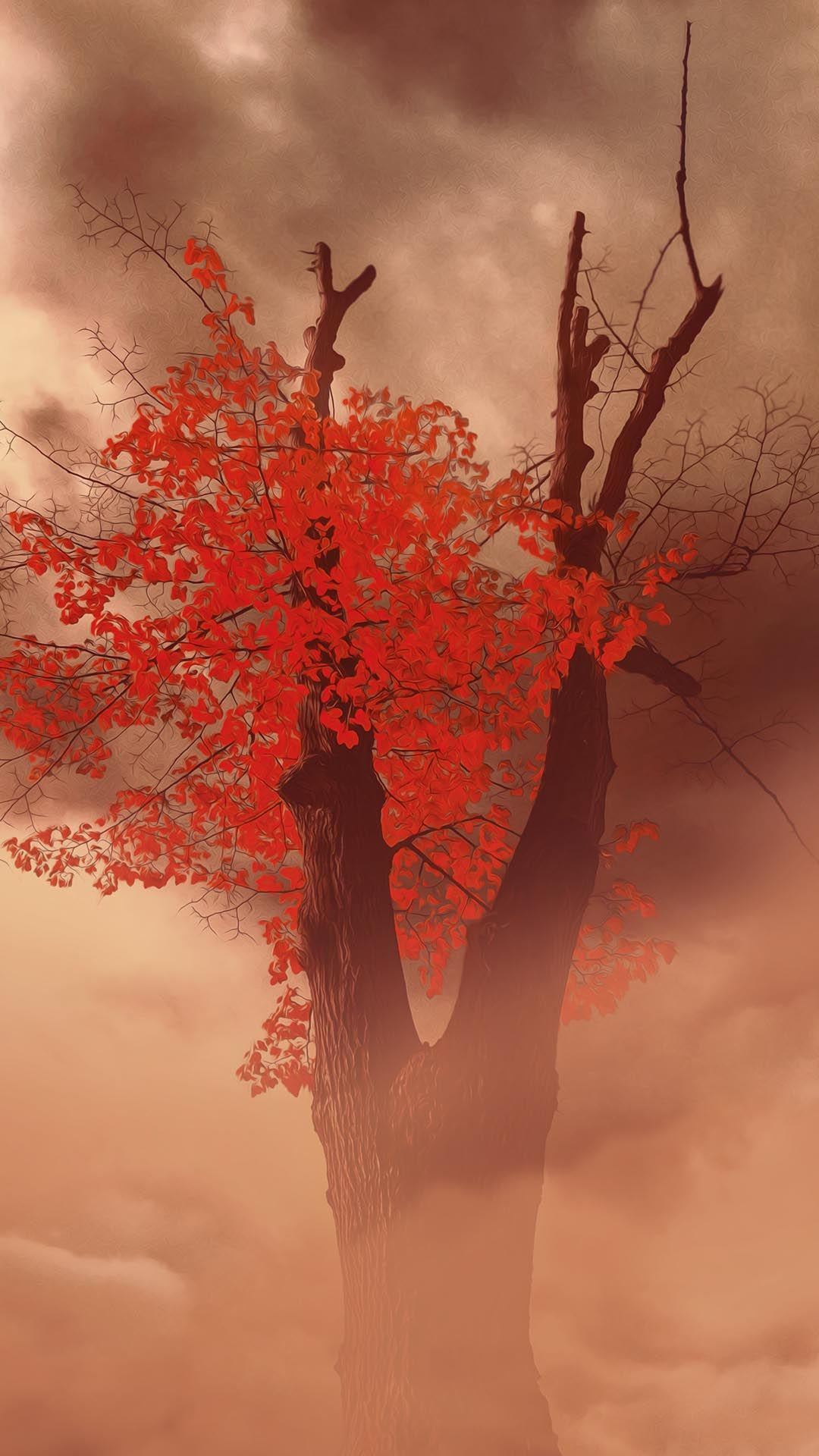 1080x1920 Last Red Leaves On Branches Wallpaper | Art photography, Fantasy pictures, Art inspirati