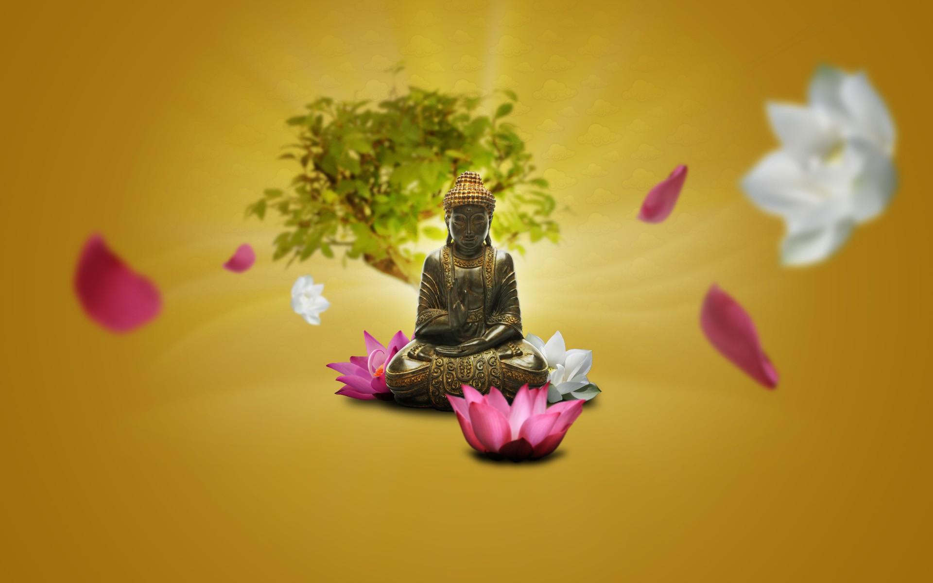 1920x1200 Zen Buddha Meditation Lotus Flowers Wallpaper Resolution: ID:591899