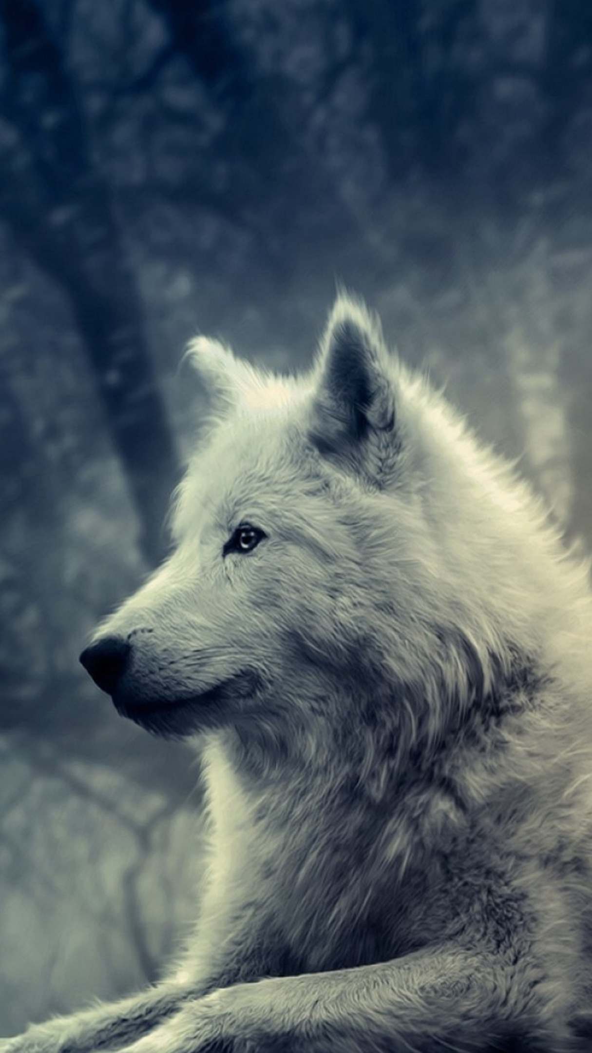 1215x2159 White wolf wallpaper backiee