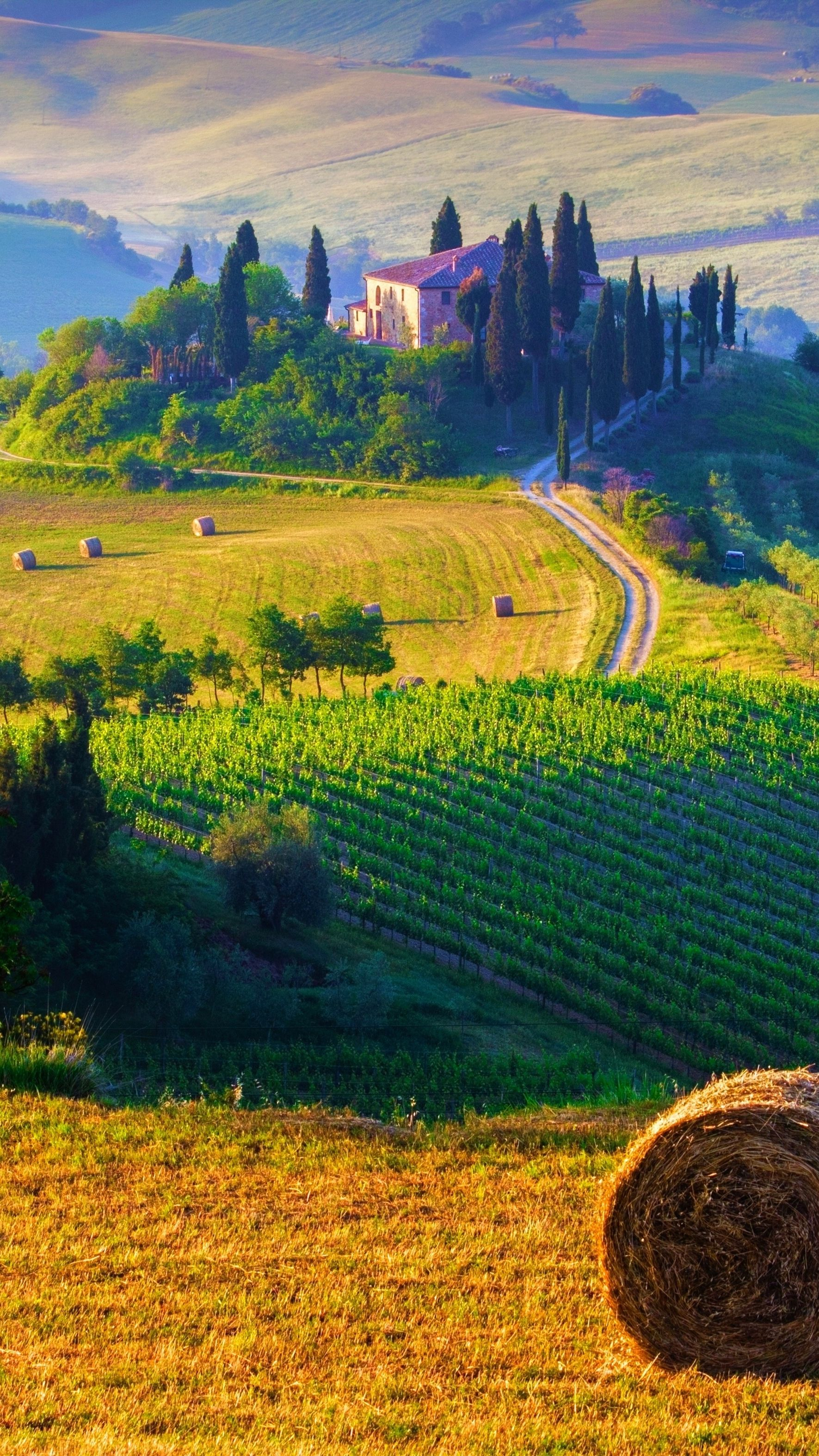 1771x3150 Tuscany-Italy-Landscape-iPhone-Wallpaper | Italy landscape, Tuscany italy, Tuscany