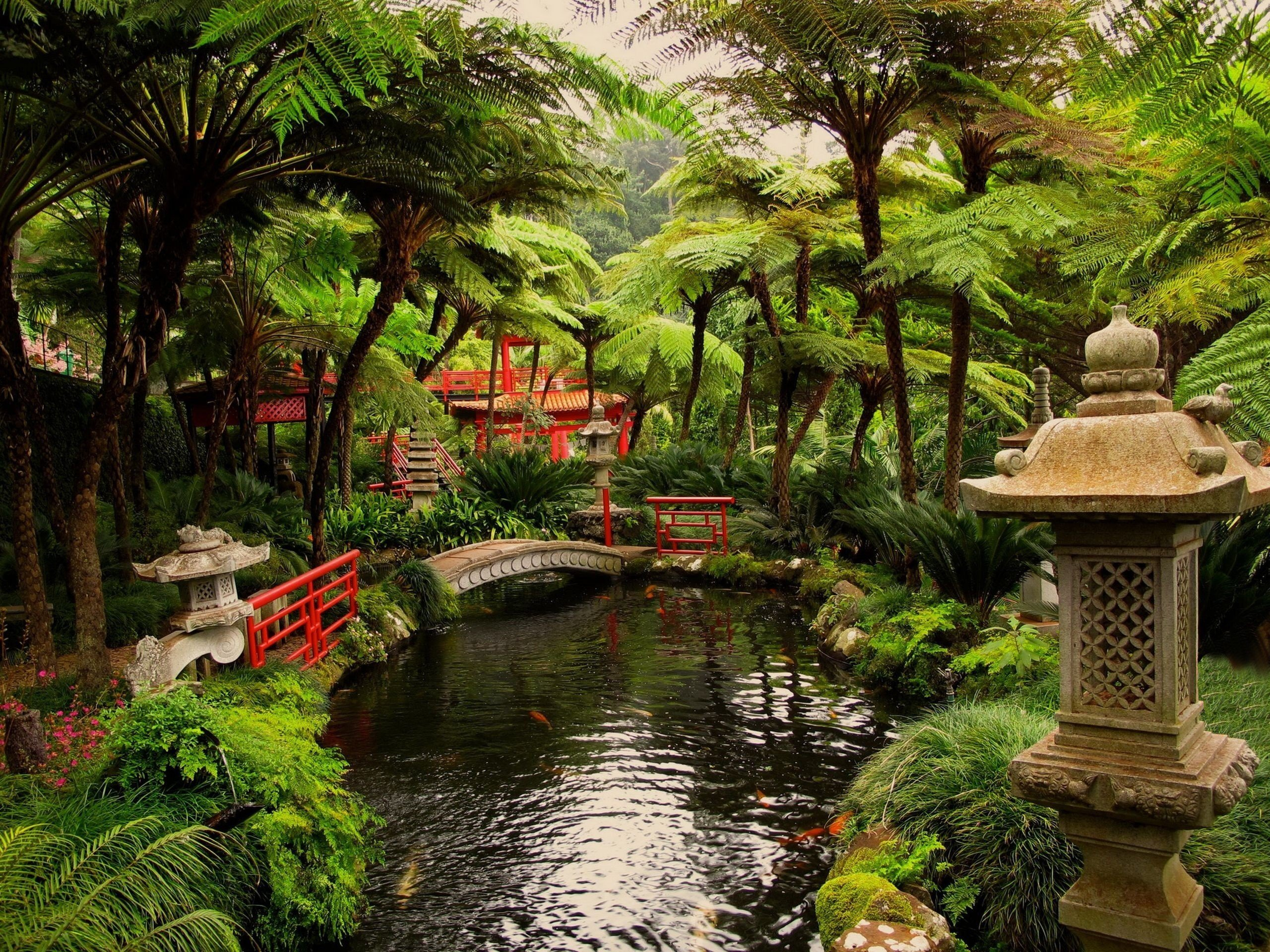 2560x1920 Japan, Garden, Pond HD Wallpapers / Desktop and Mobile Images \u0026 Photos