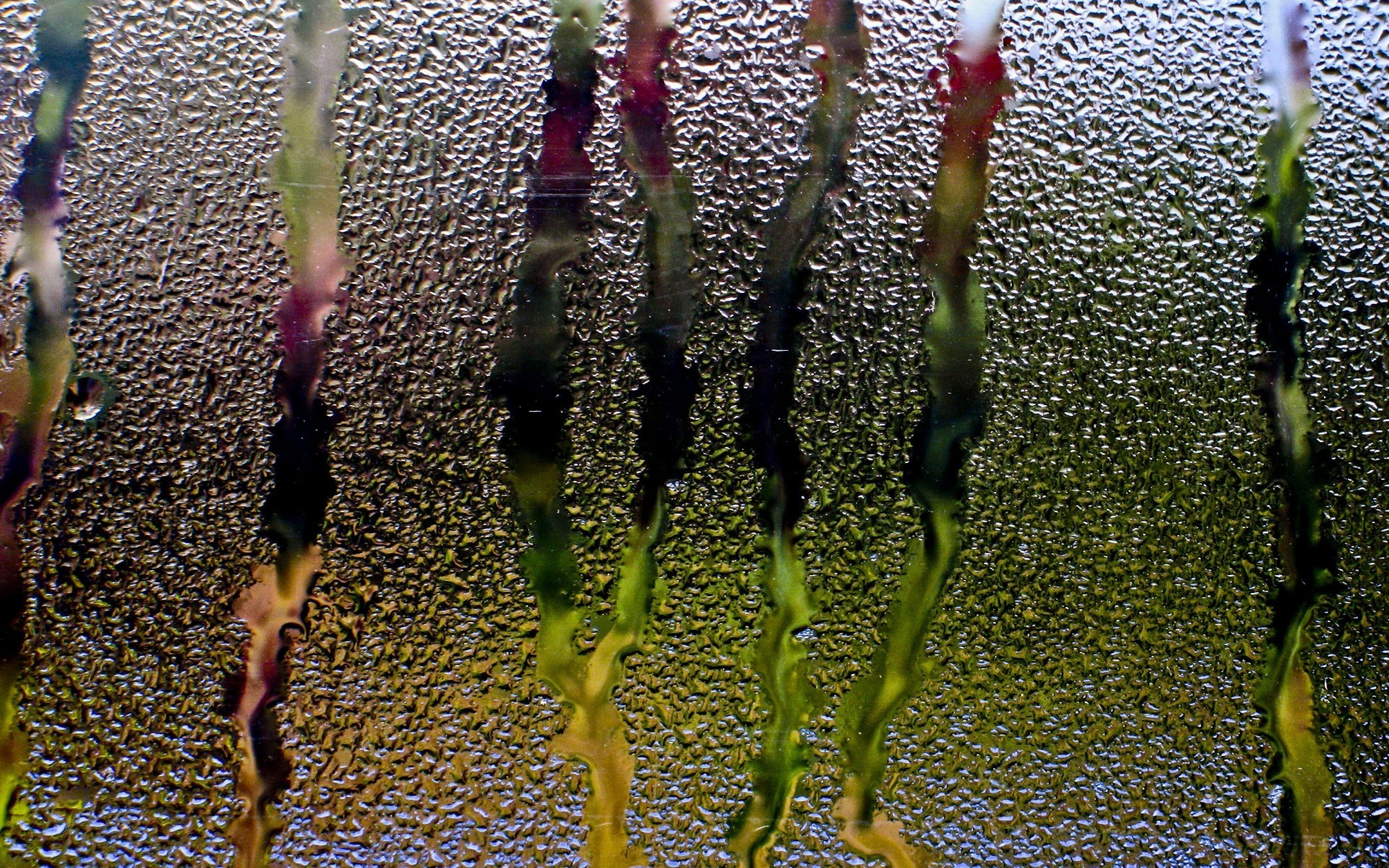 1920x1200 Rain Glass Window Water Drops Streams Wallpaper [