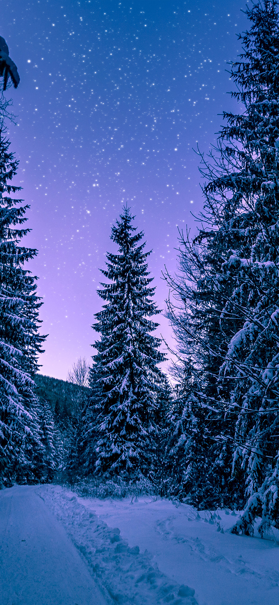 1125x2436 | iPhone11 wallpaper | nx97-snow-winter-wood-treeroad-night-nature