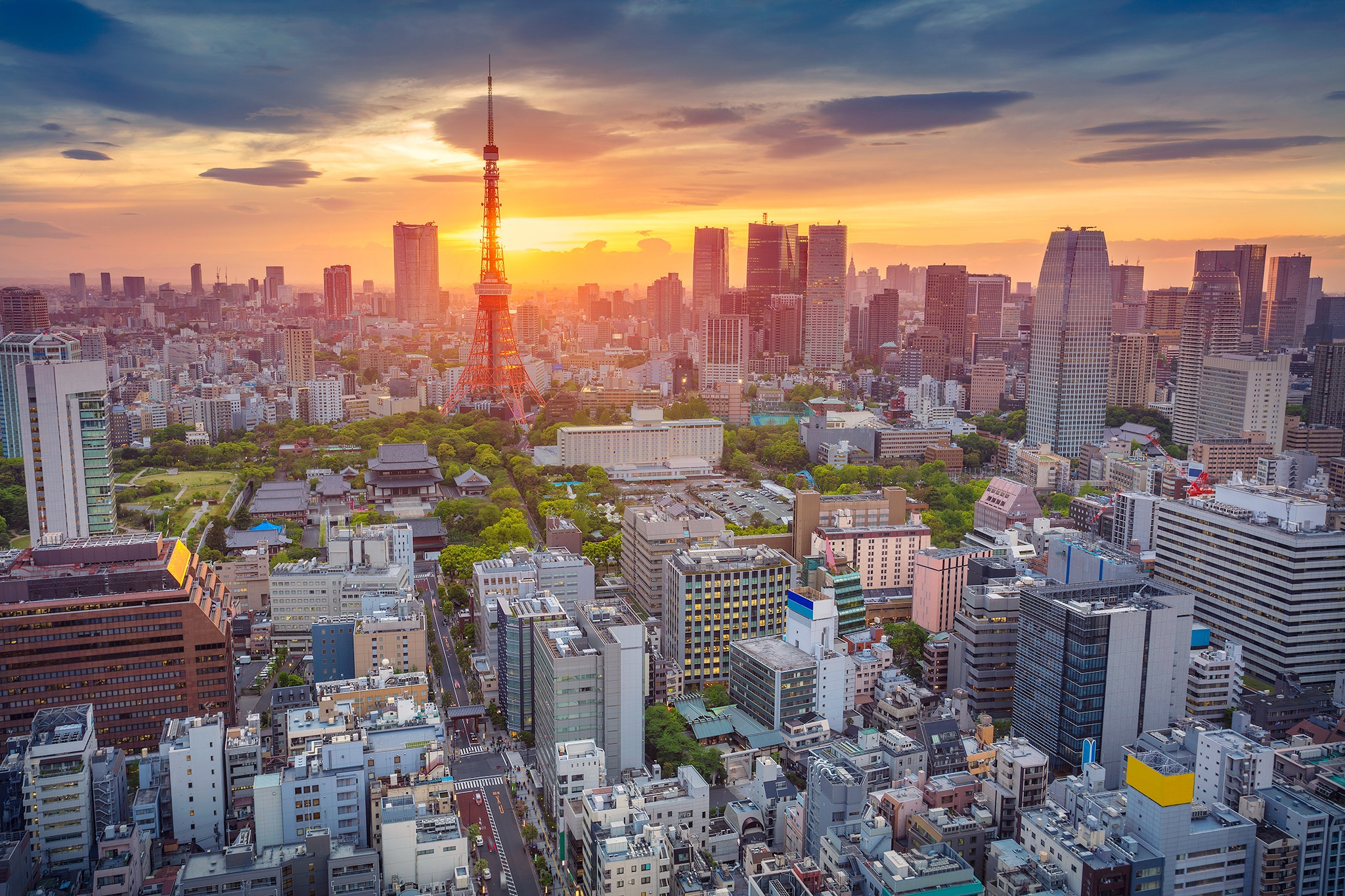 2048x1365 Morning In Tokyo, HD World, 4k Wallpapers, Images, Backgrounds, Photos and Pictures