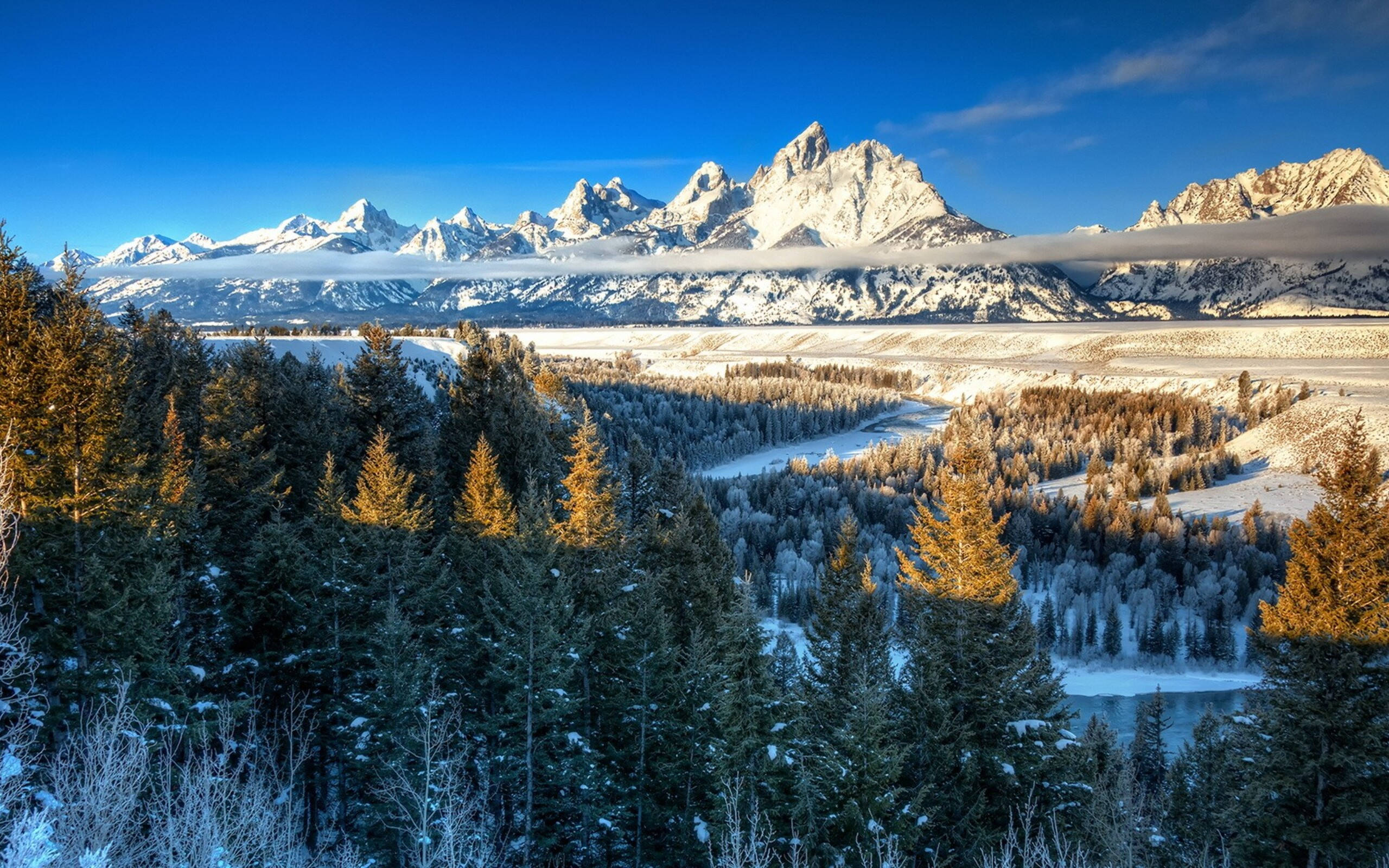 2560x1600 Download Yellowstone National Park Winter Landscape Wallpaper | Wallpapers .com