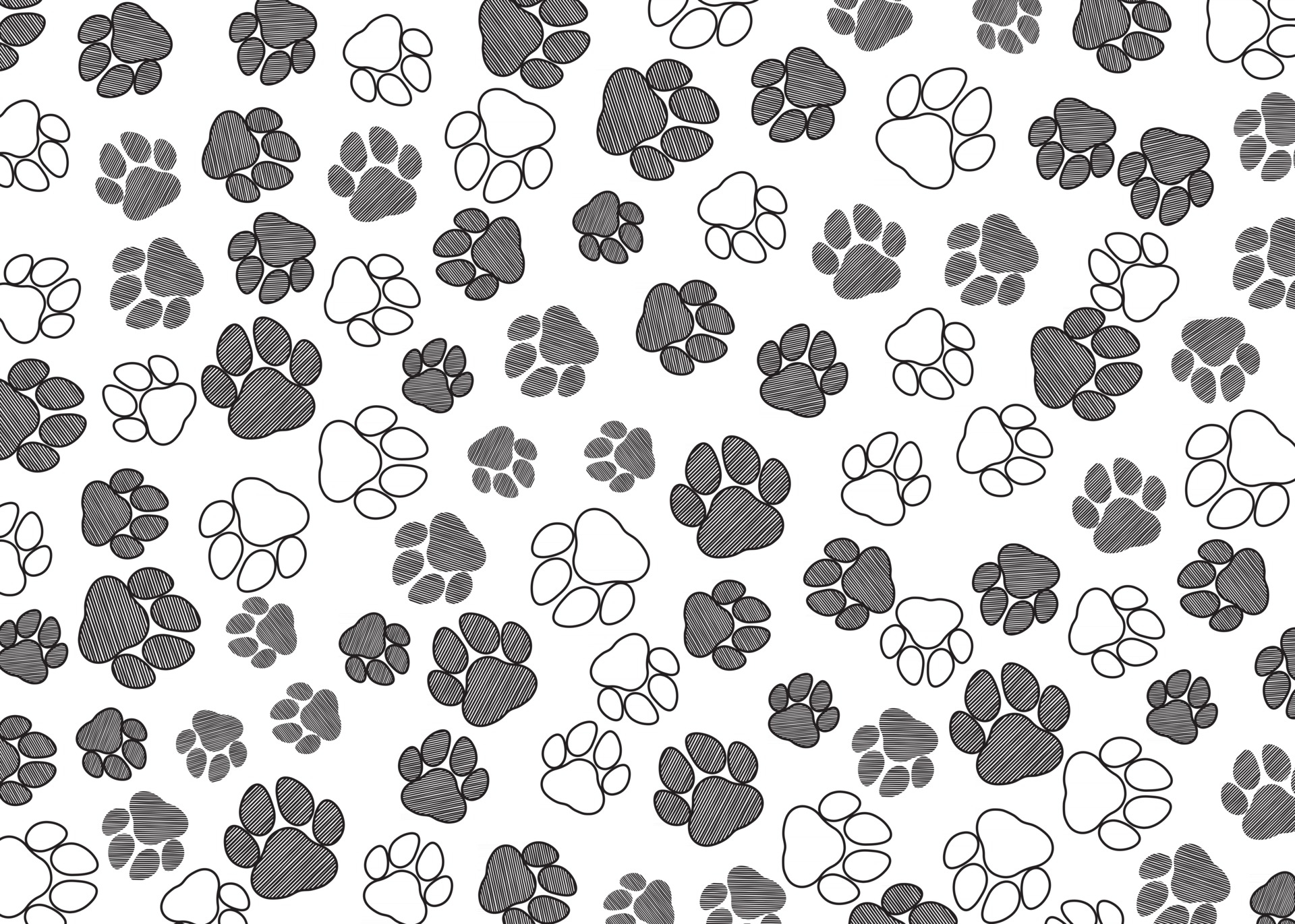 1920x1371 Animals Paw Print Pattern Free Vector 2515962 Vector Art