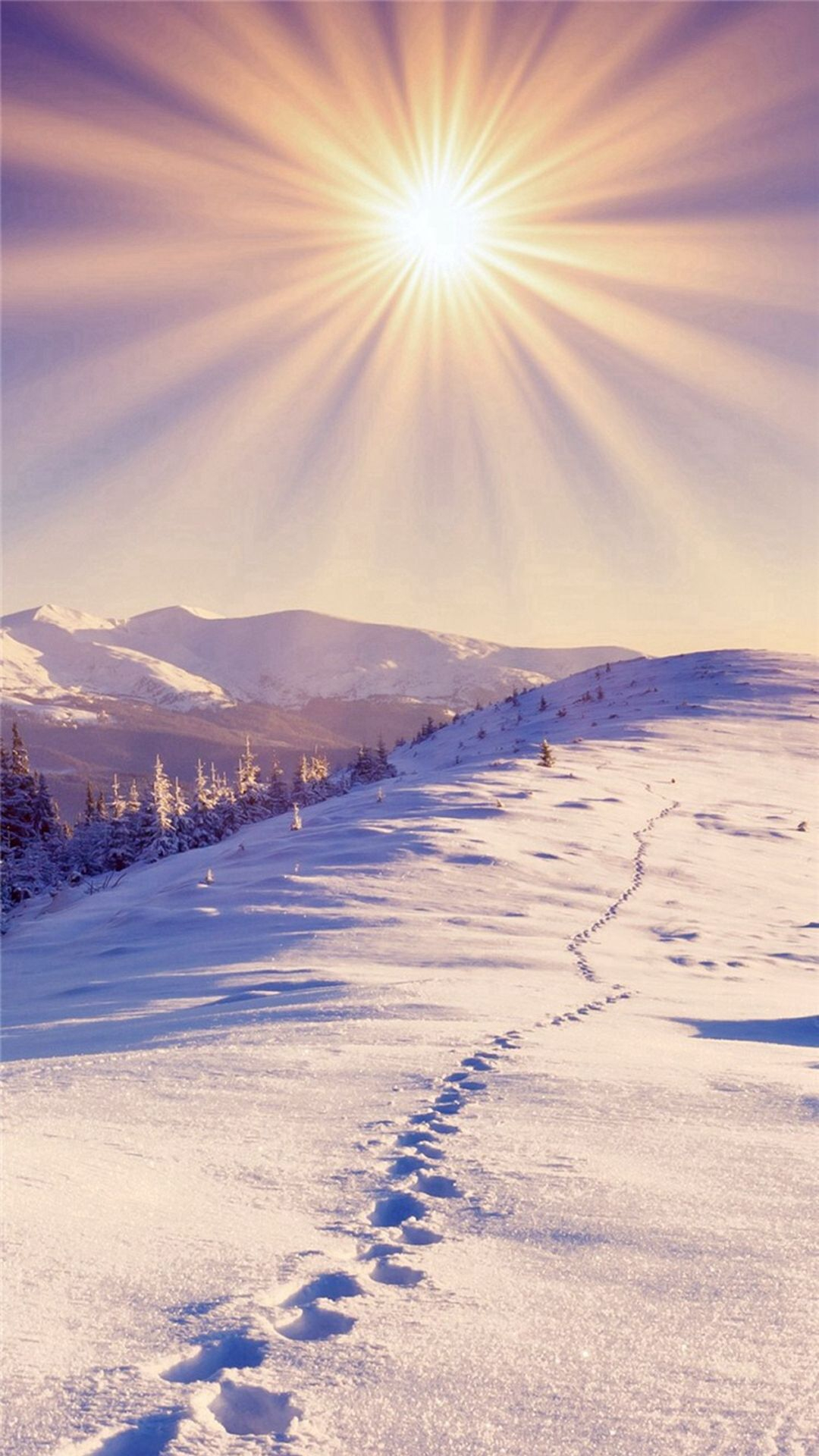 1080x1920 Nature Sunshine Bright Snowy Footprint Field iPhone 6 Wallpaper Download | iPhone Wallpapers, iPad wallpapers O&acirc;&#128;&brvbar; | Sunshine wallpaper, Natures sunshine, Snowy field