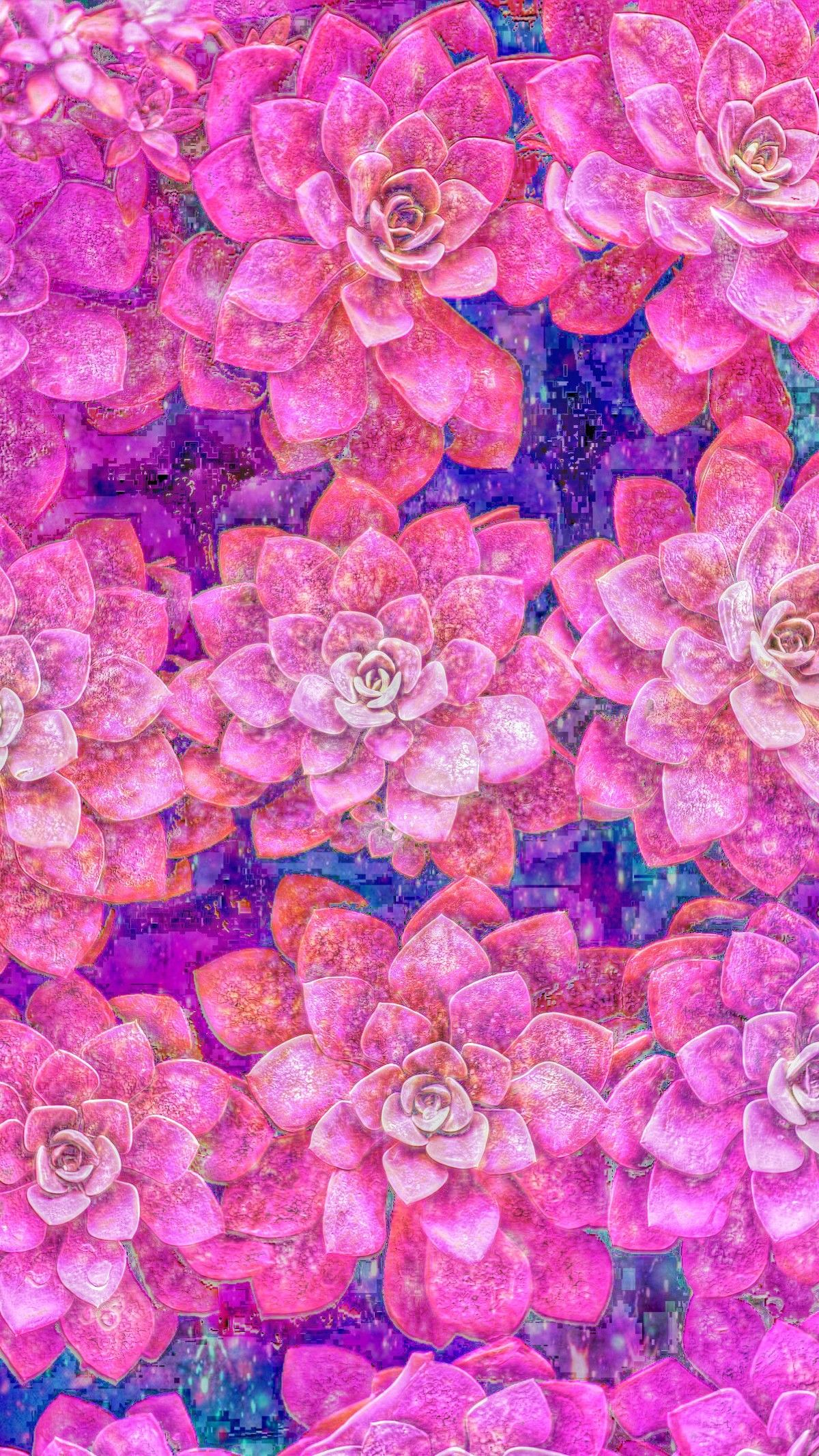 1200x2133 Pink Galaxy Succulents, made by me #pink #galaxy #wallpapers #backgrounds #sparkles #glittery #succulen&acirc;&#128;&brvbar; | Flower wallpaper, Plant wallpaper, Pink galaxy background
