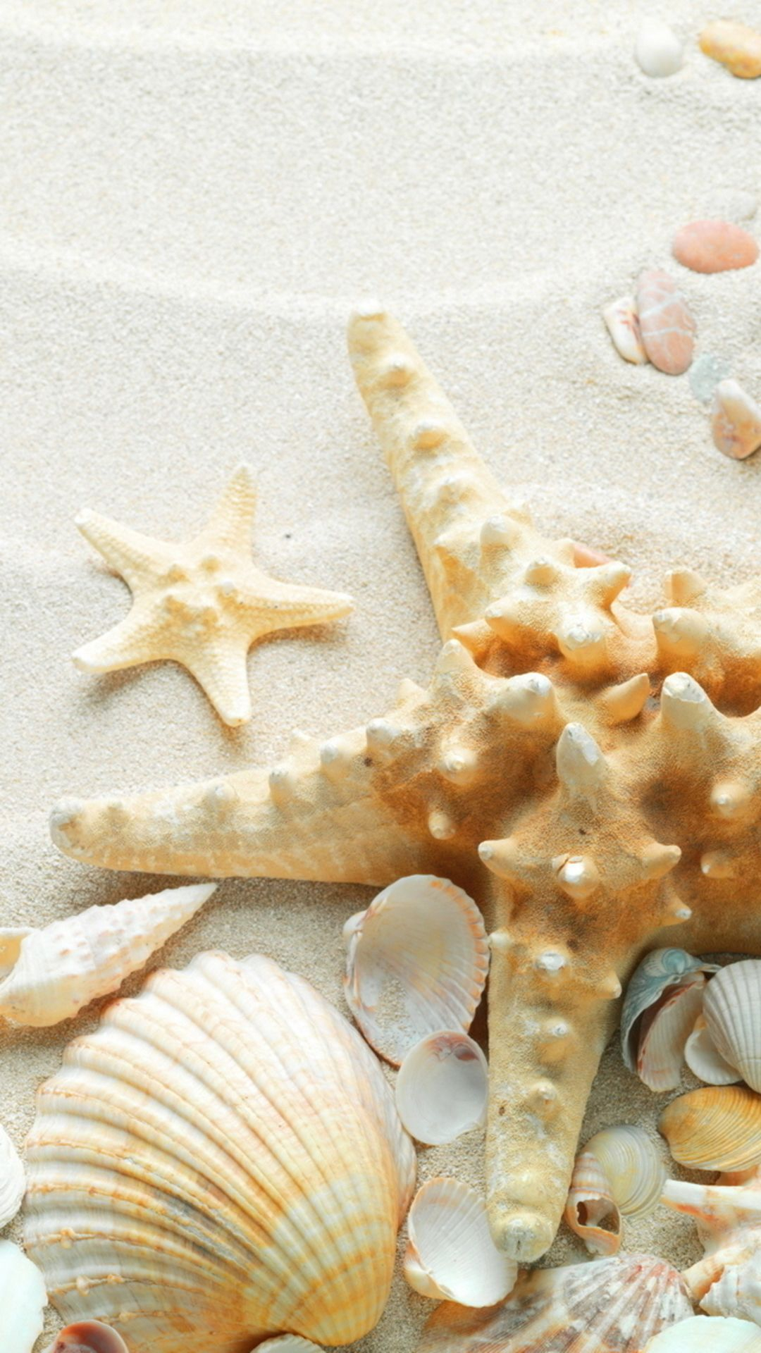 1080x1920 Pure Seaside Beach Starfish Seashell iPhone 6 Wallpaper Download | iPhone Wallpapers, iPad wallpapers O&acirc;&#128;&brvbar; | Sea shells, Wedding candy containers, Iphone 5s wallpaper