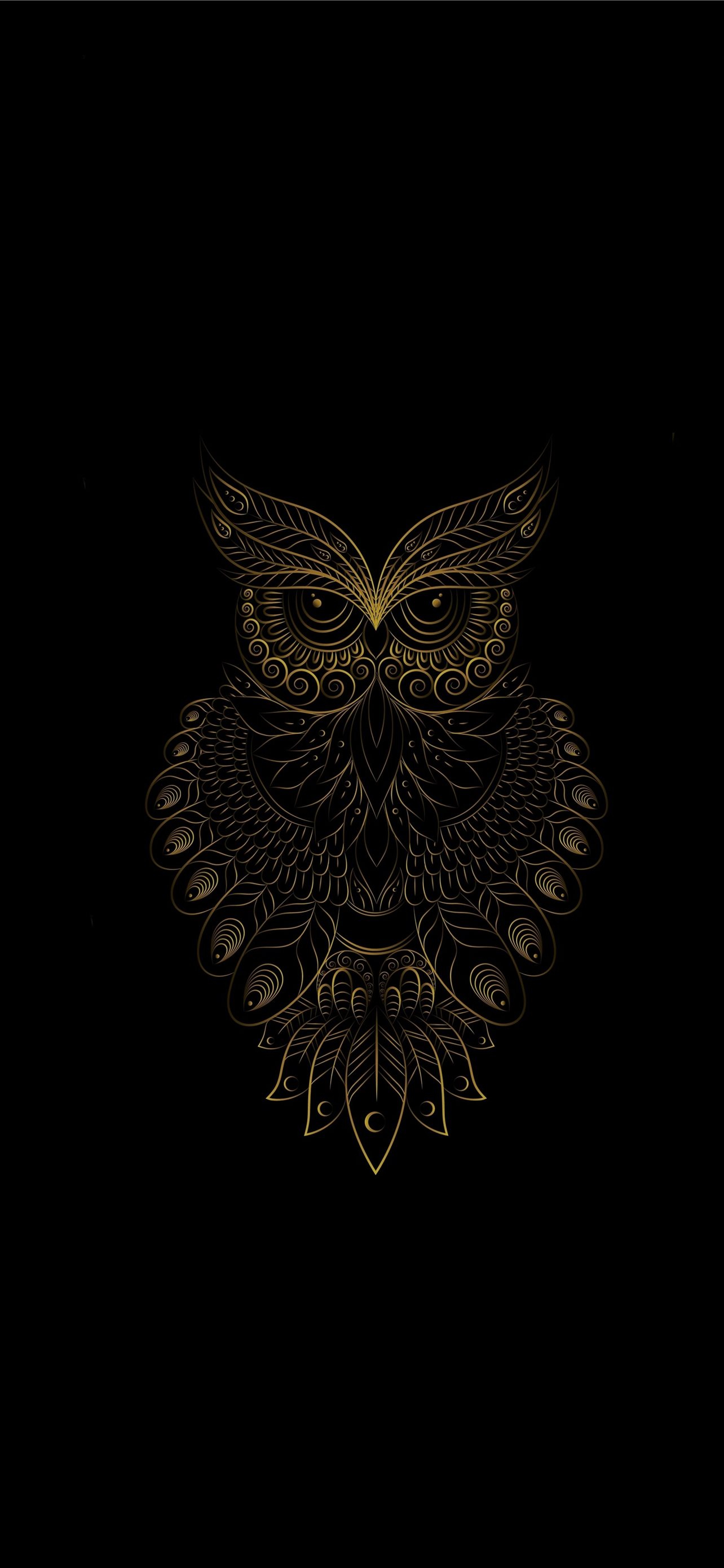 1284x2778 Best Owl iPhone HD Wallpapers
