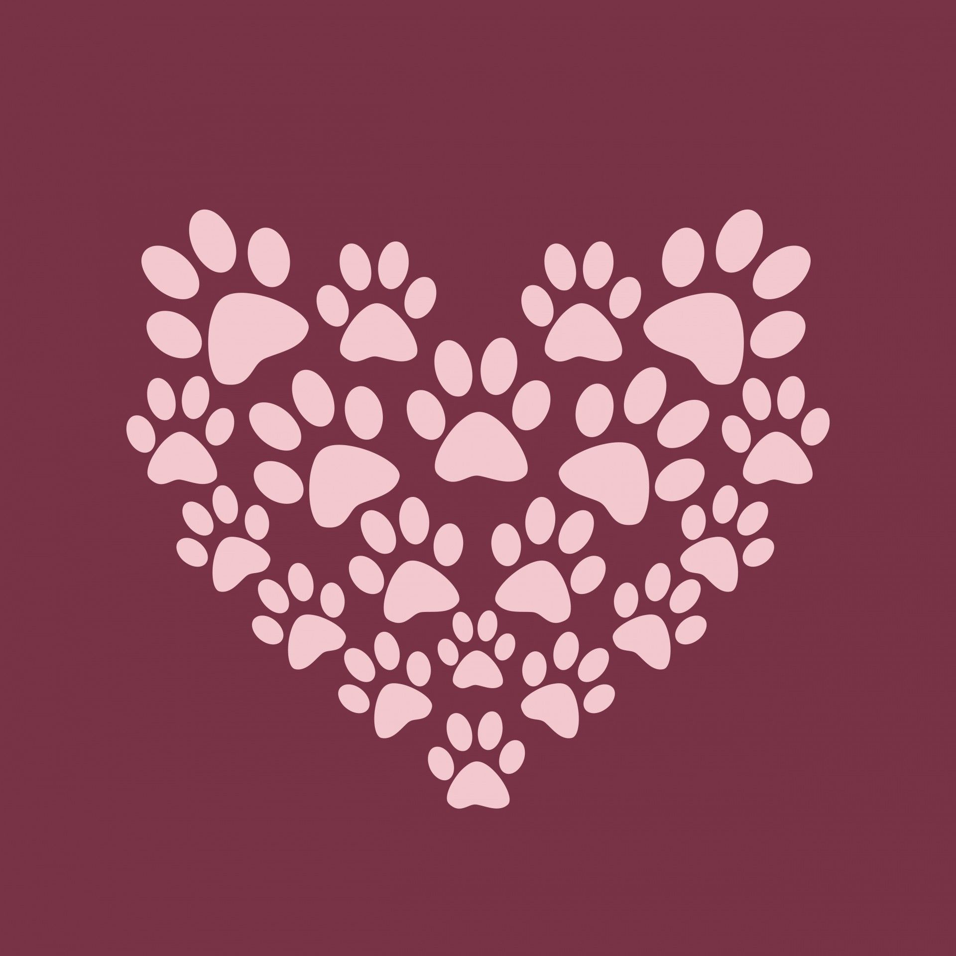 1920x1920 Dog Paw Wallpapers