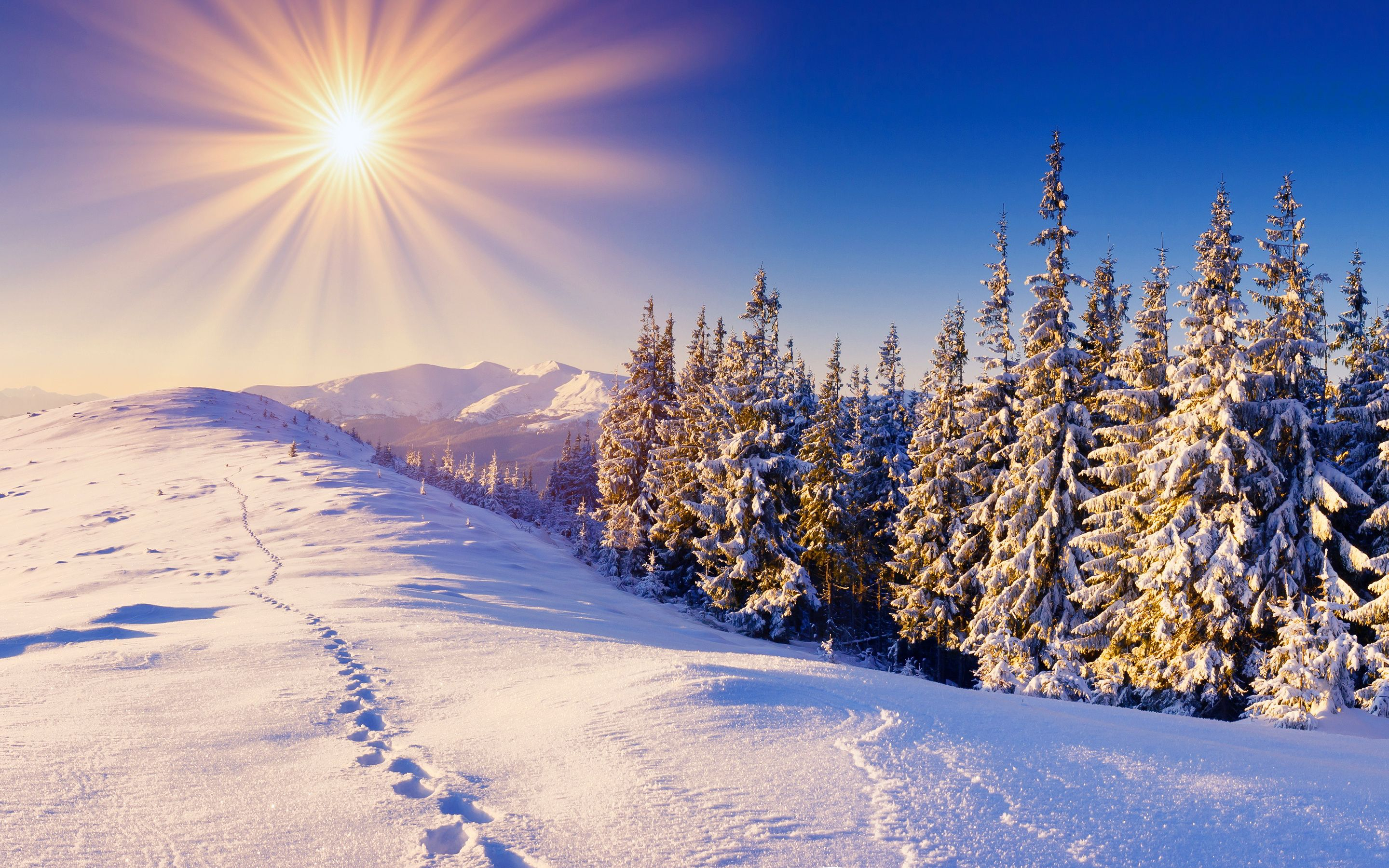 2880x1800 Winter Sun Wallpapers Top Free Winter Sun Backgrounds