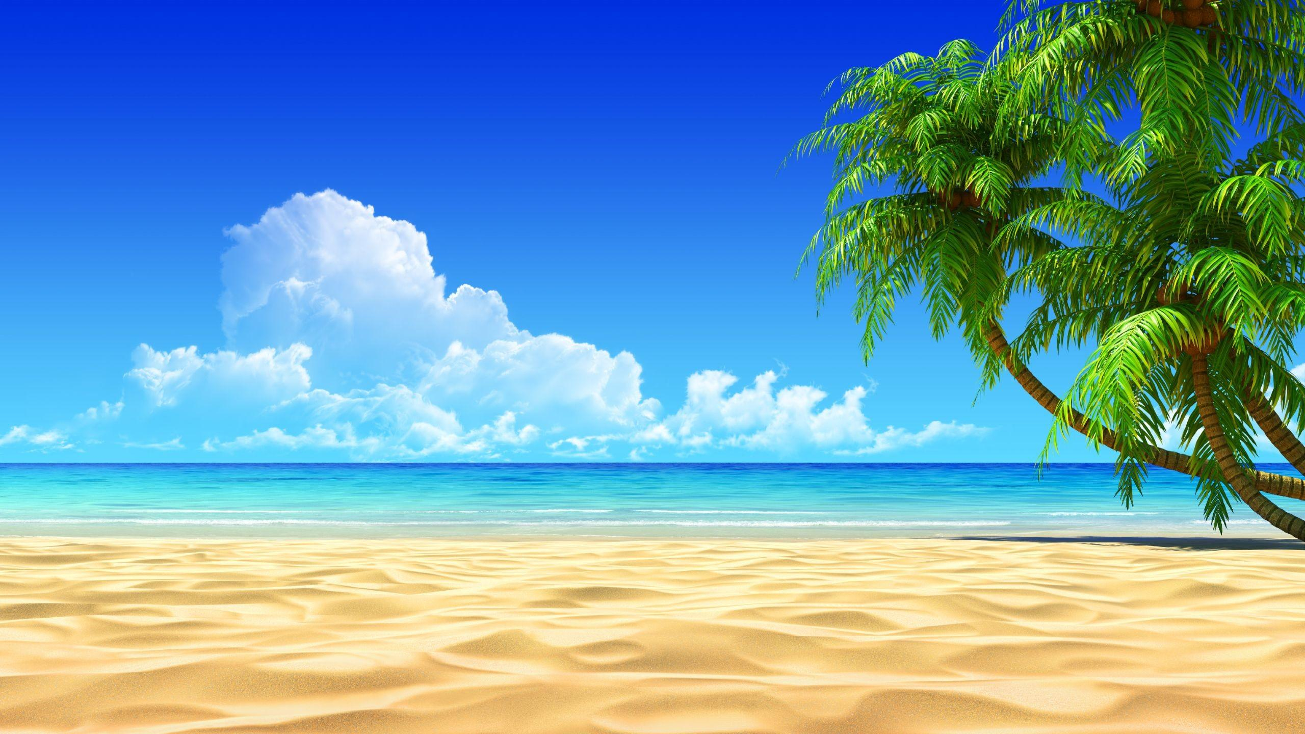 2560x1440 Tropical Beach Panorama Wallpapers