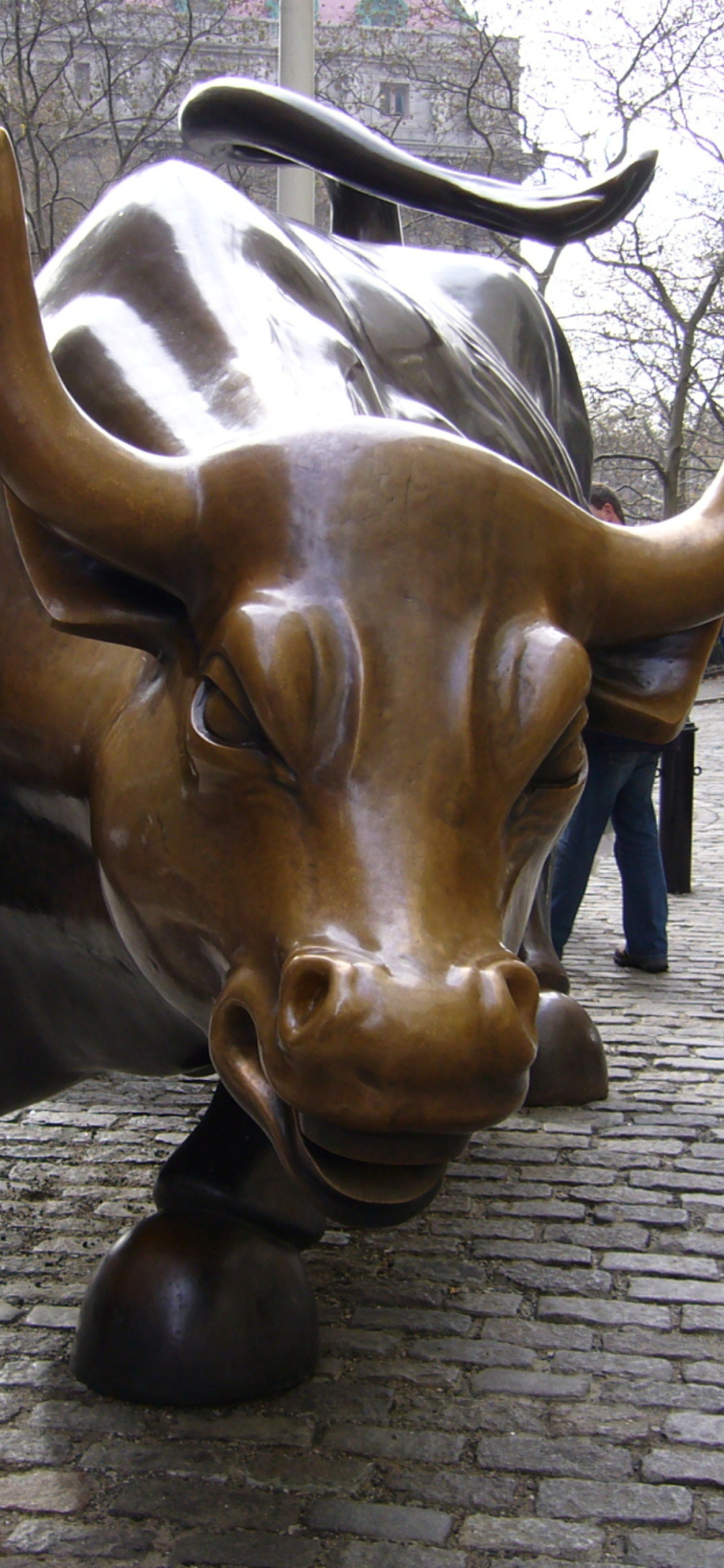 1170x2532 The Wall Street Bull Wallpaper for iPhone 12 Pr