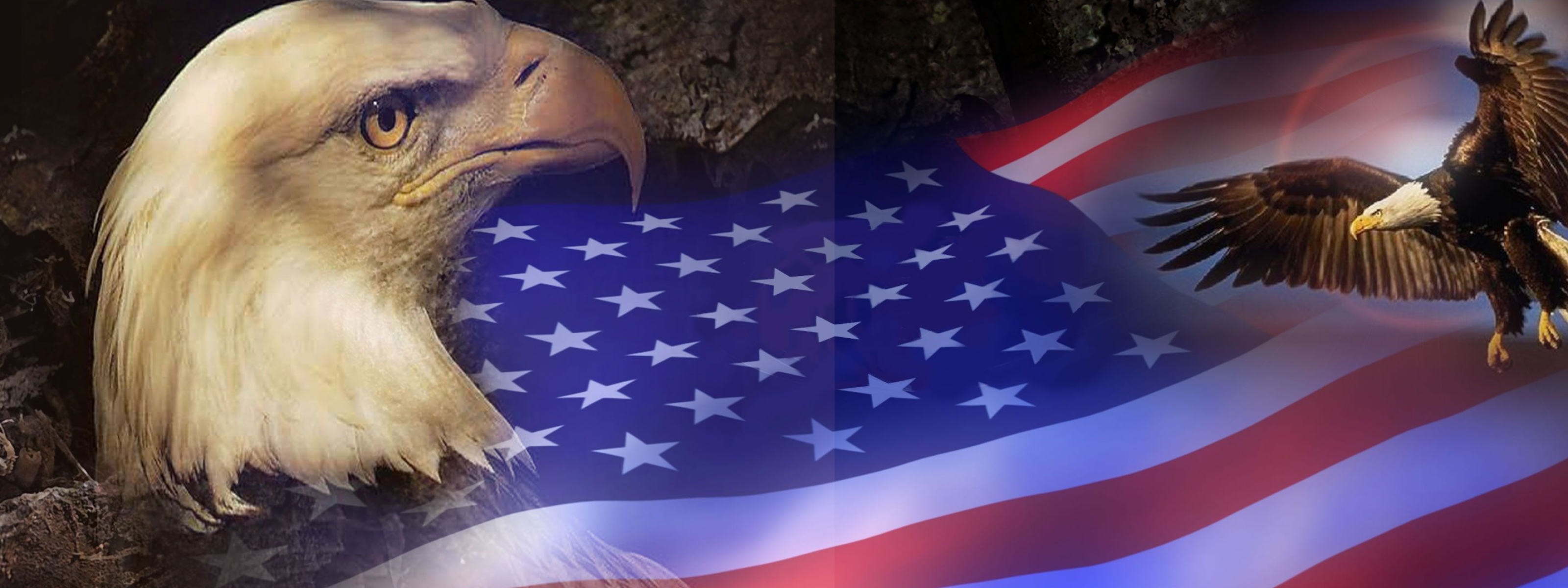 3200x1200 Patriotic Bald Eagle Wallpapers Top Free Patriotic Bald Eagle Backgrounds | Eagle wallpaper, Bald eagle, Eagle background