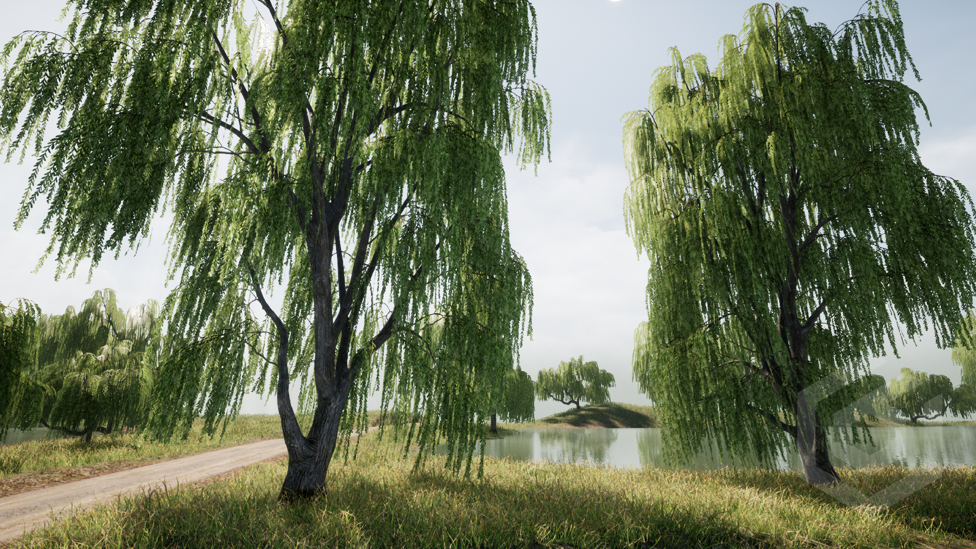 1920x1080 Trees: Willow tree in Props UE Marketplace