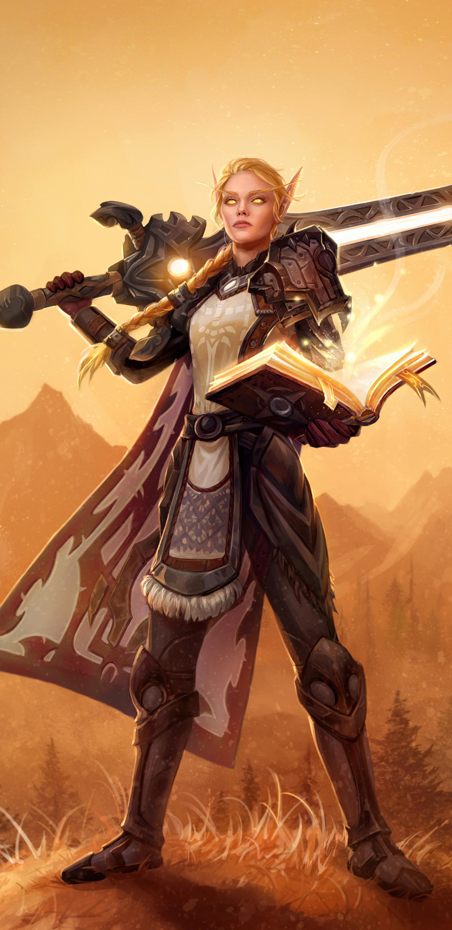 1440x2960 Paladin World Of Warcraft 4k Samsung Galaxy Note 9,8, S9,S8,S8+ QHD HD 4k Wallpapers, Images, Backgrounds, Photos and Pictures