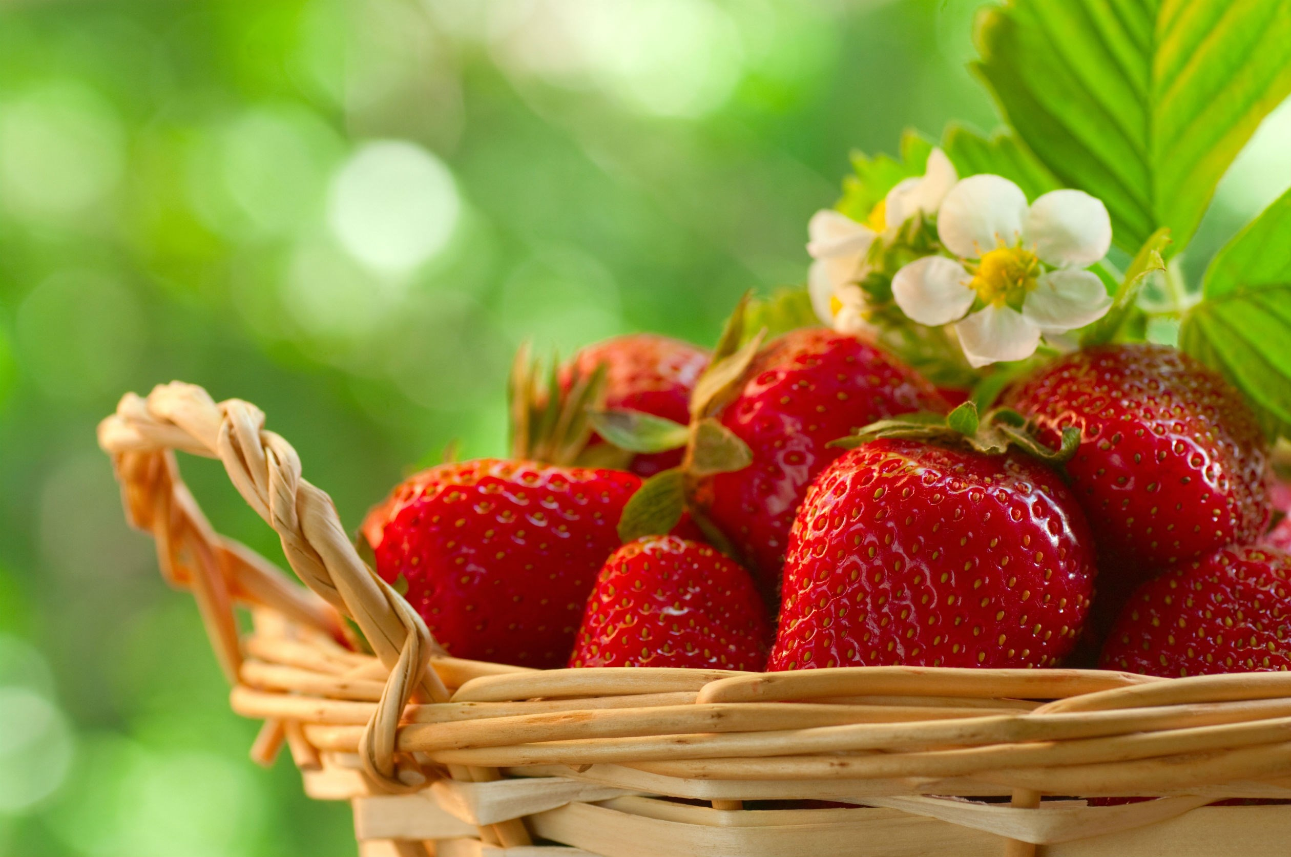 2520x1673 Fruit Strawberry Food Strawberries Wallpaper [