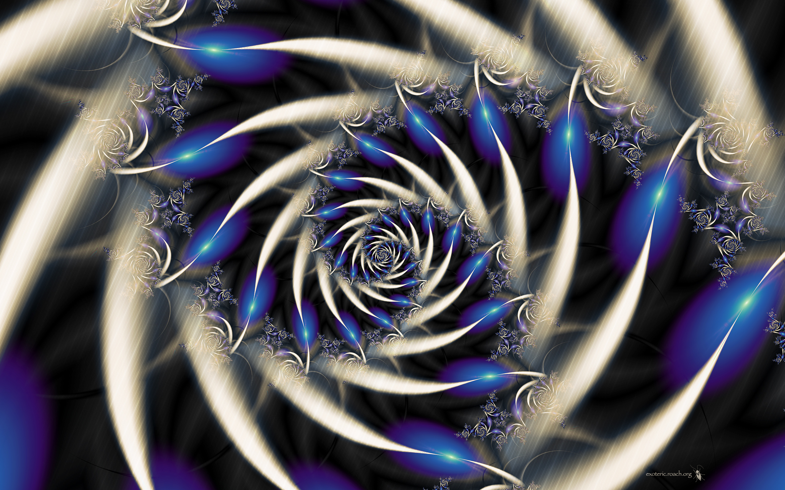 2560x1600 Swirl HD Wallpaper