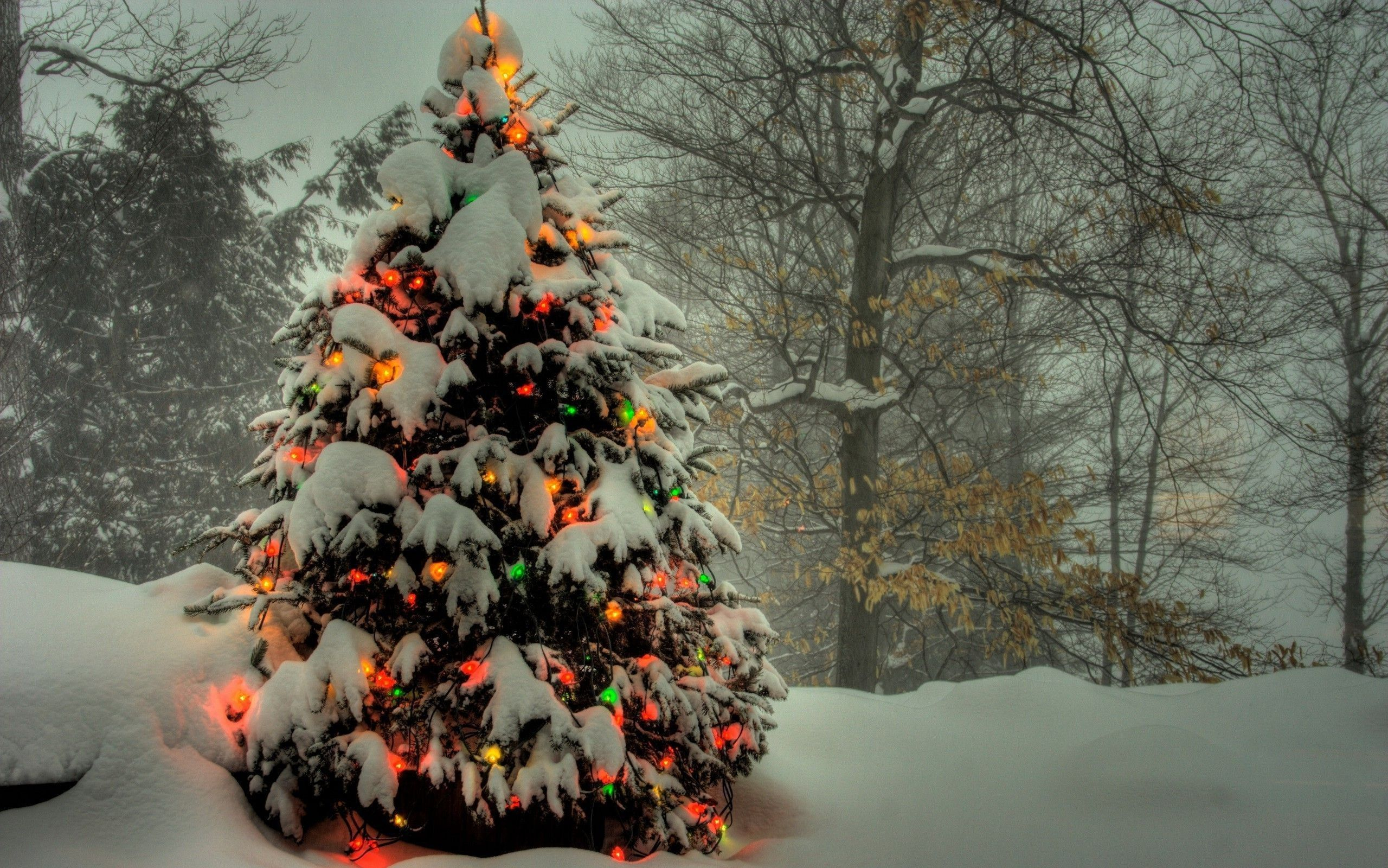 2560x1600 Traditional Christmas Wallpapers Top Free Traditional Christmas Backgrounds