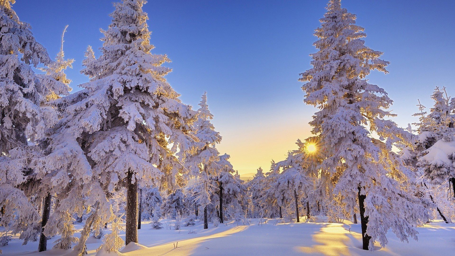 1920x1080 Winter Computer Wallpapers Top Free Winter Computer Backgrounds