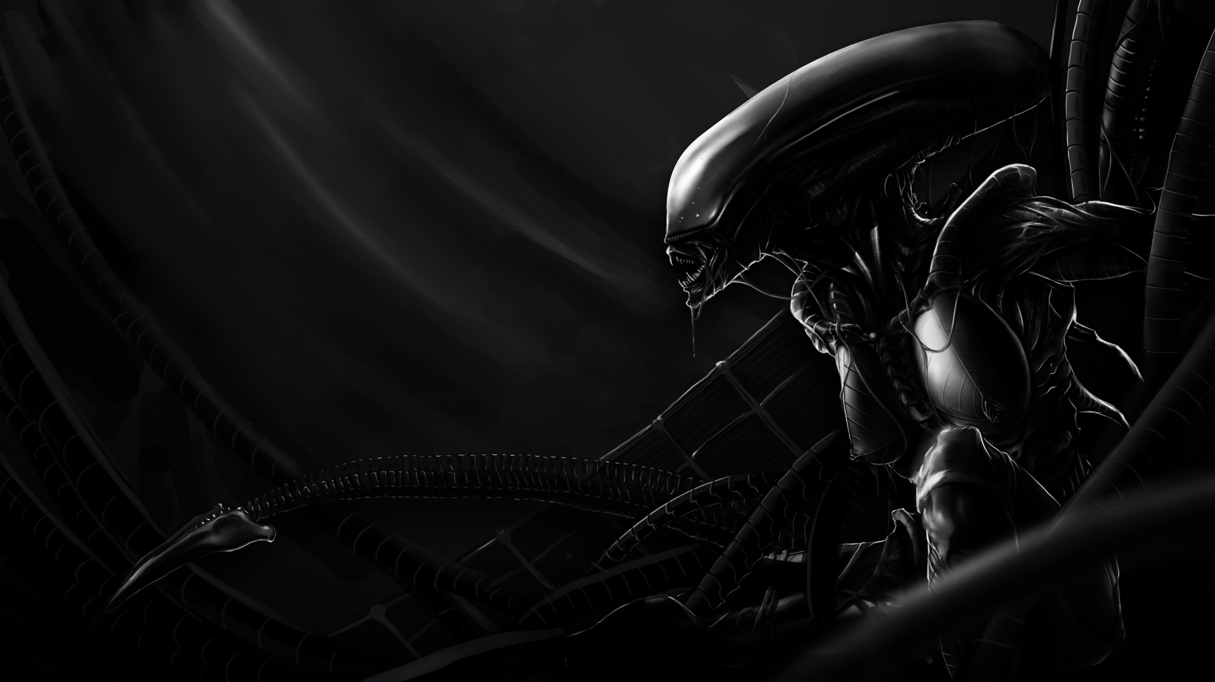 2427x1362 50+ Xenomorph HD Wallpapers and Backgrounds
