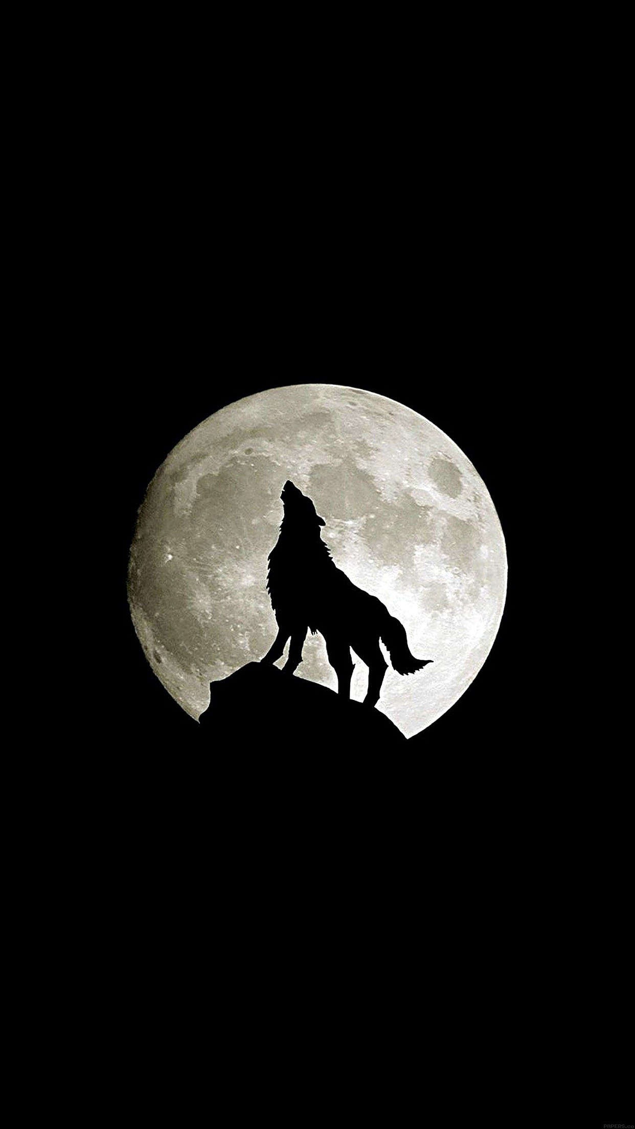 1242x2208 iPhoneXpapers ma32-wolf-howl-animal-dark-minimal-nature