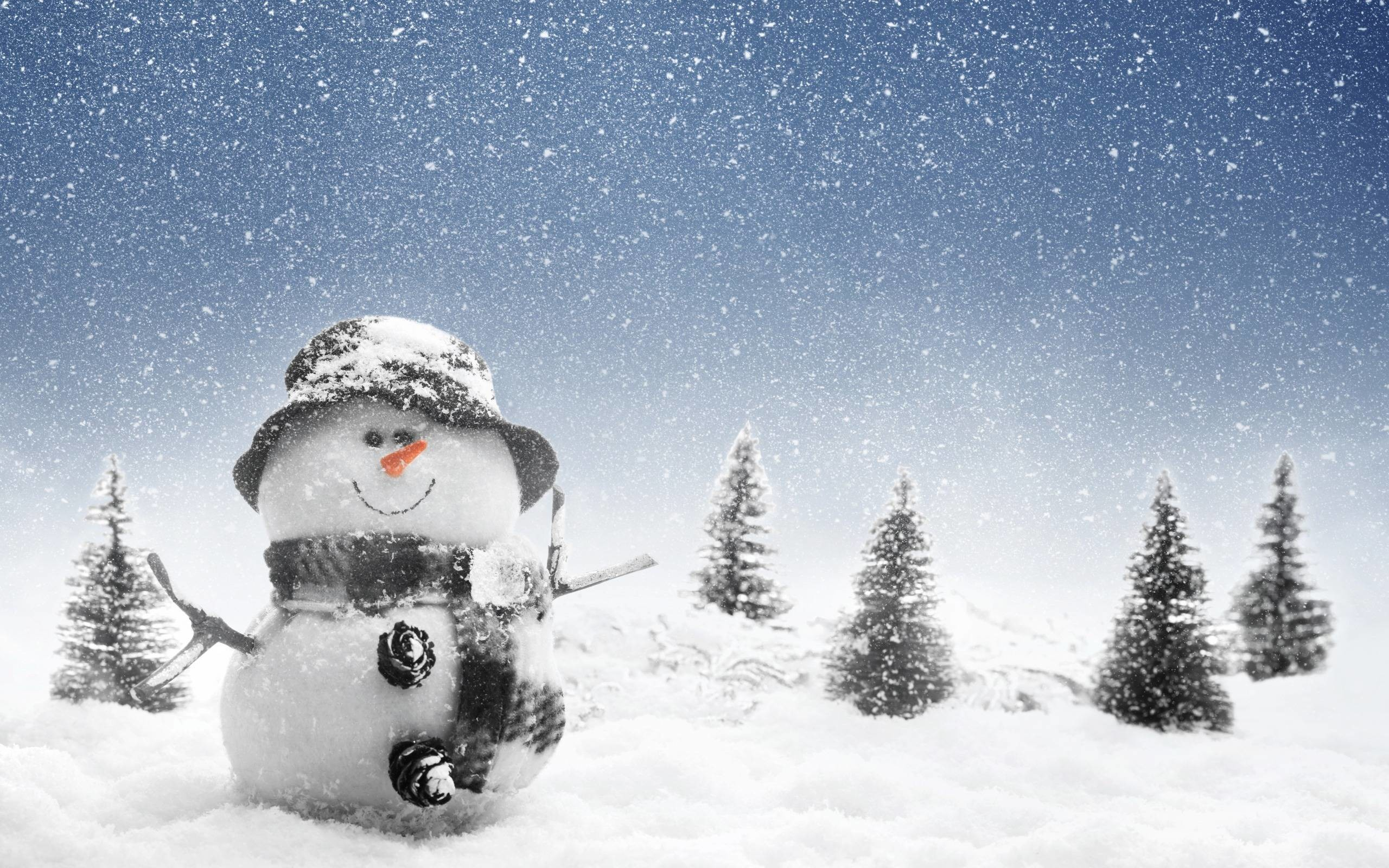 2560x1600 Snowman Wallpaper (60+ pictures