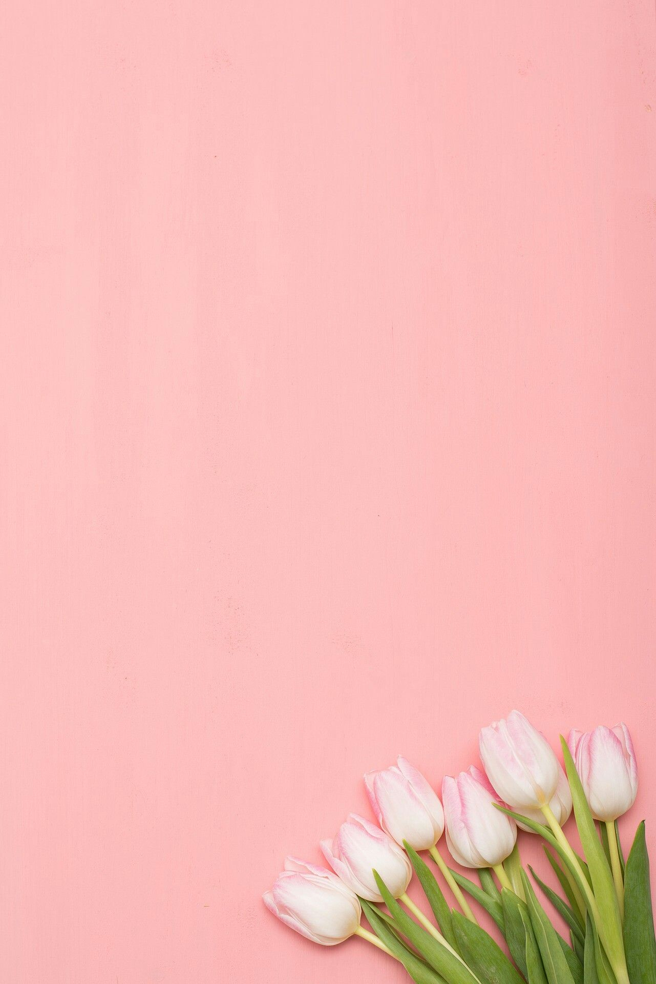 1281x1920 Pink tulips. &eth;&#159;&#152;&#141; | Iphone spring wallpaper, Vintage flower backgrounds, Spring wallpaper