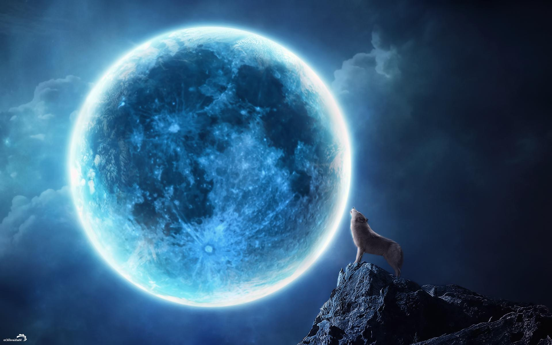 1920x1200 Wolves Howling Night Wallpapers HD / Desktop and Mobile Backgrounds