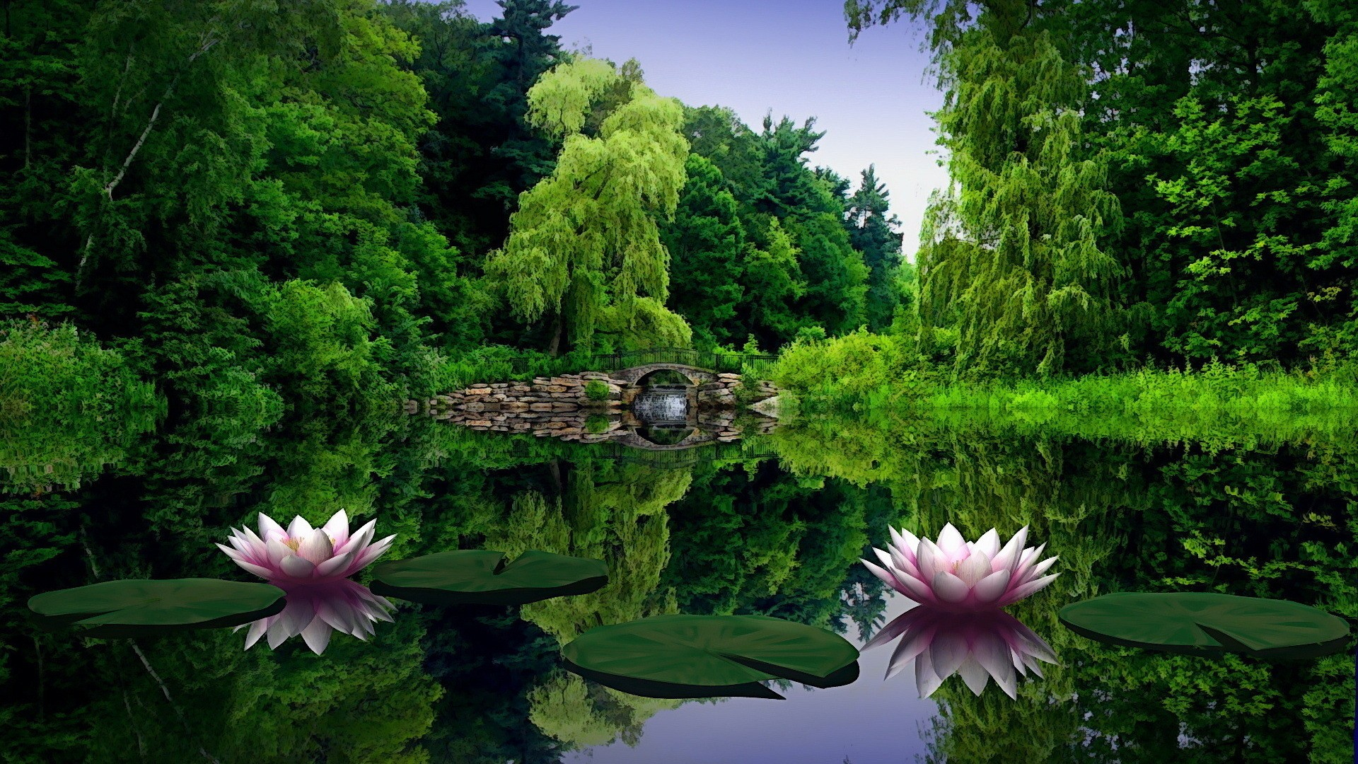 1920x1080 Flowers At River Wallpapers Picture Images Hd Views Download