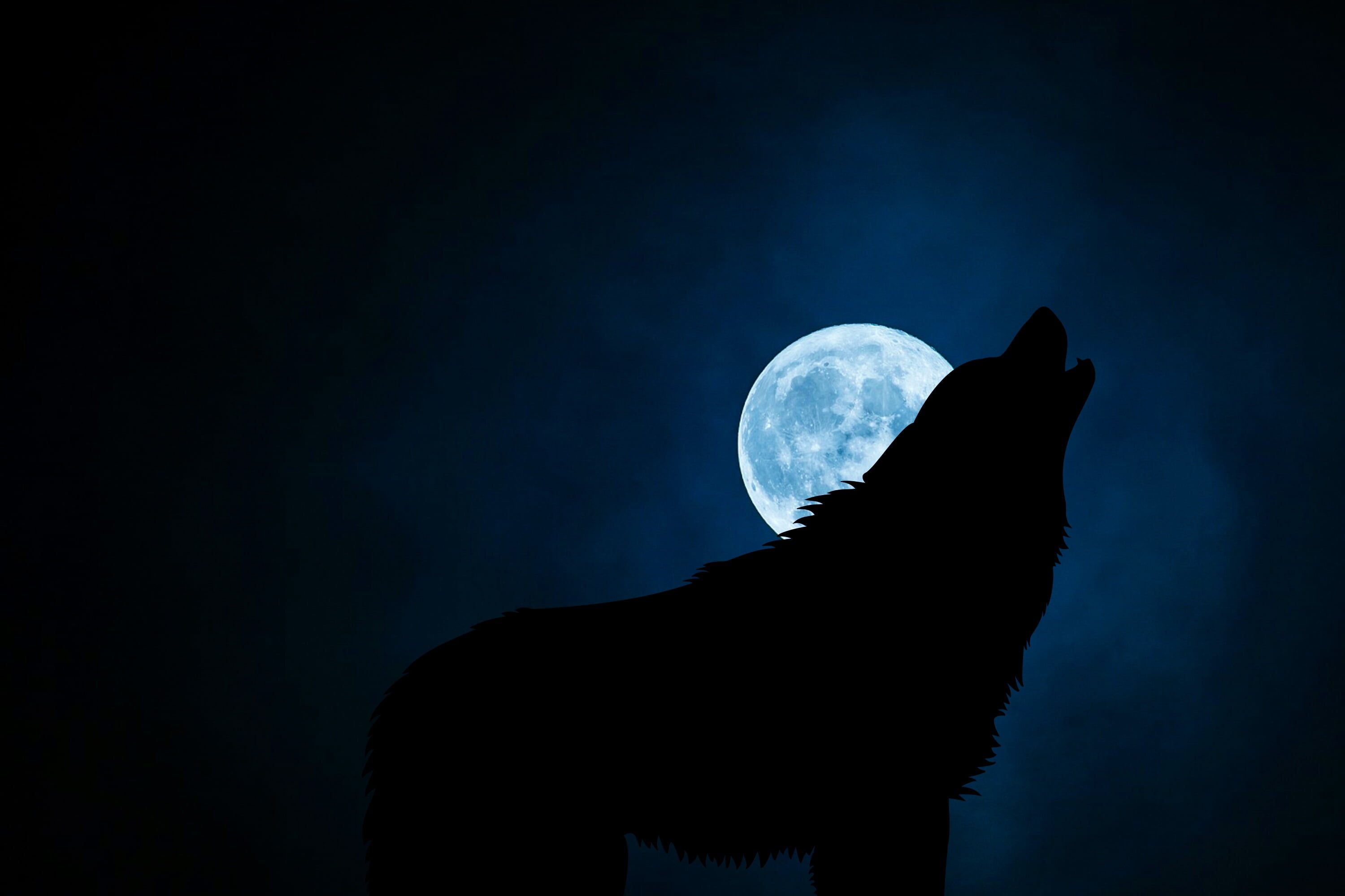3000x2000 Wolf howling during full moon digital wallpaper HD wallpaper | Wallpaper Flare