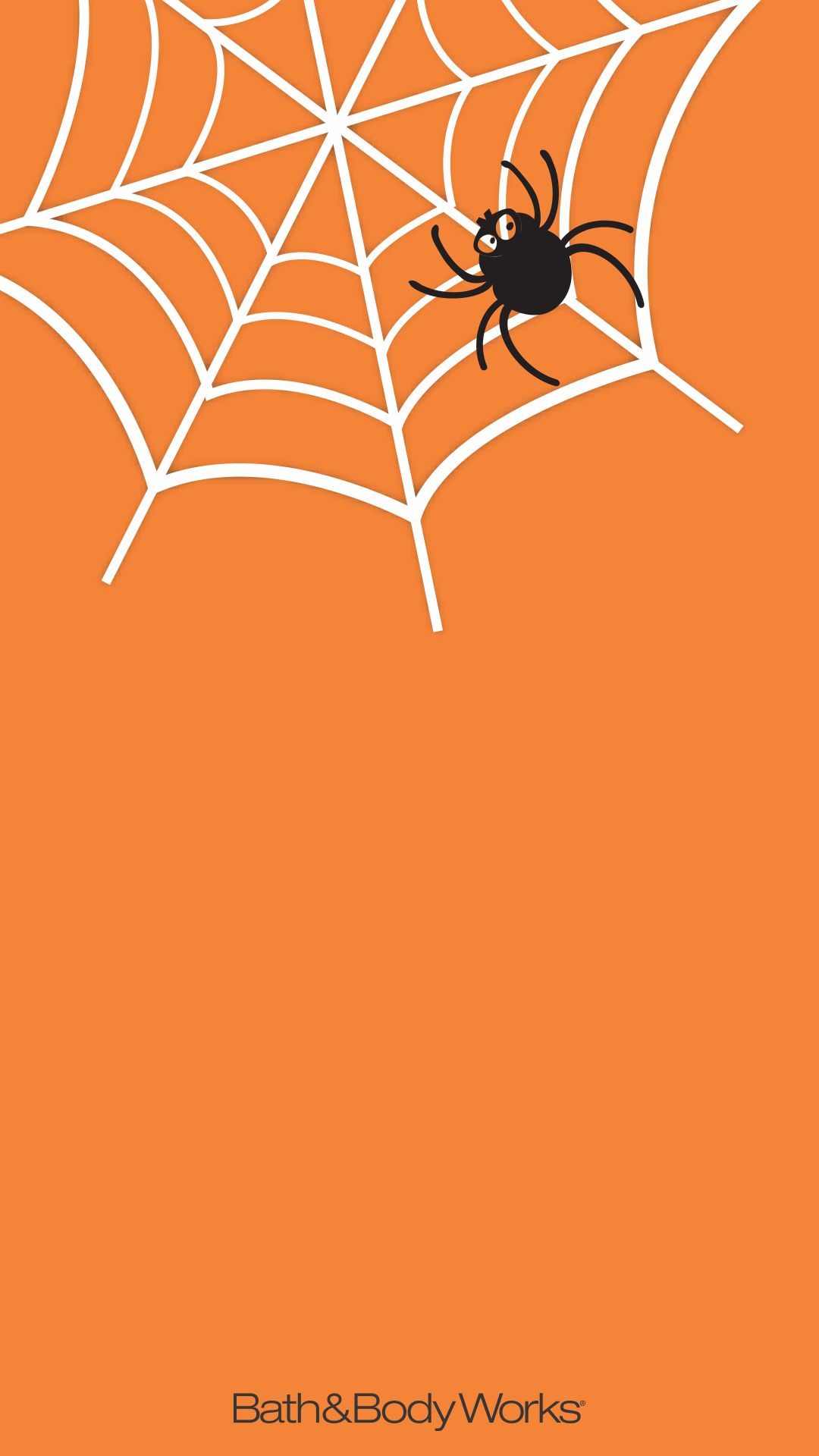 1080x1920 Spiderweb iPhone Wallpaper | Halloween wallpaper iphone, Iphone wallpaper, Fall wallpaper