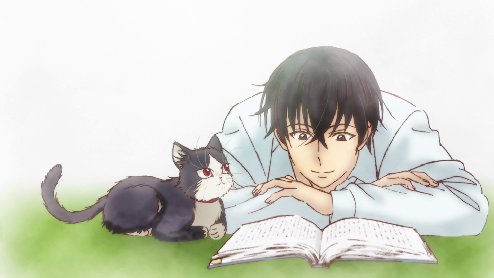 1920x1080 Haru (My Roommate is a Cat) HD Wallpapers and Backgrounds