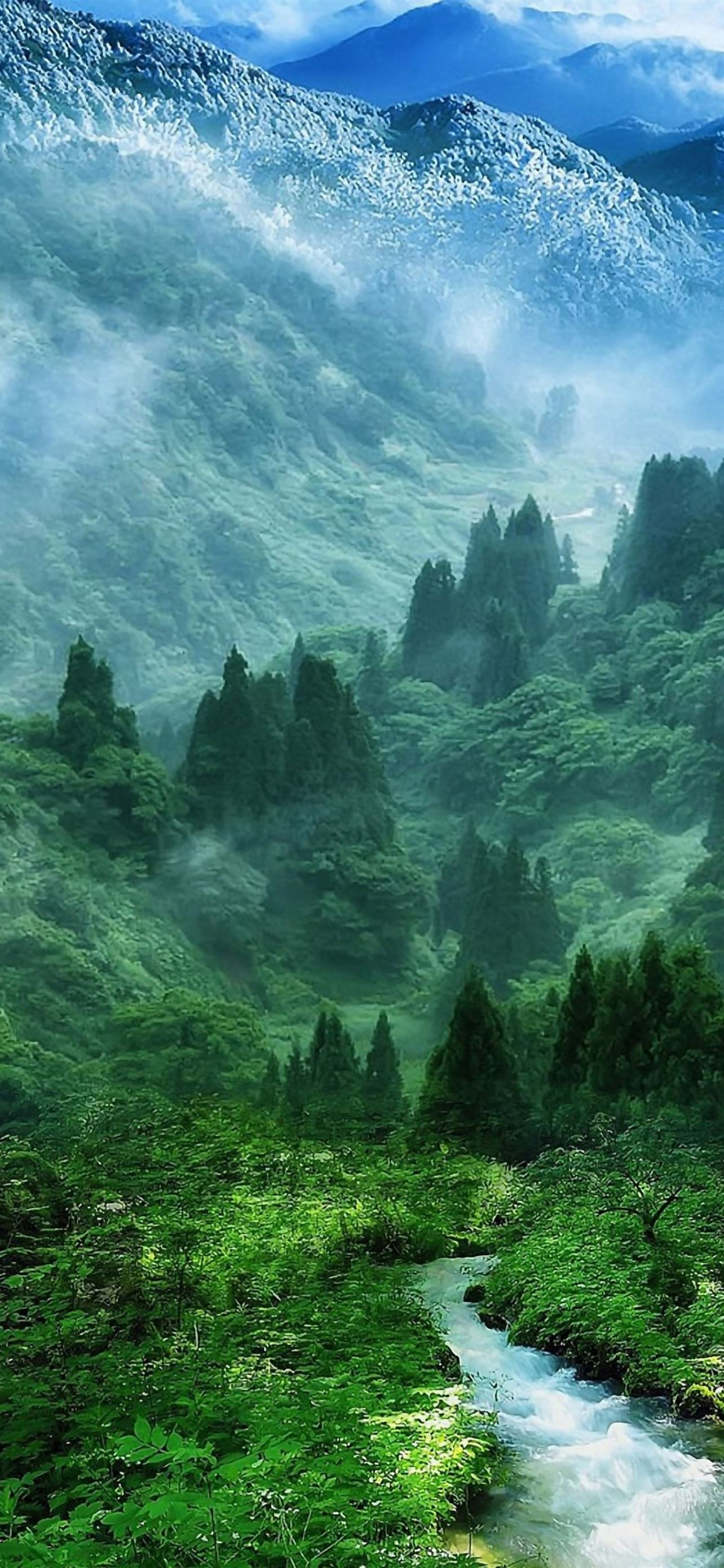 1284x2778 Nature Mist Mountain Wood Forest River Landscape iPhone Wallpapers Free Download