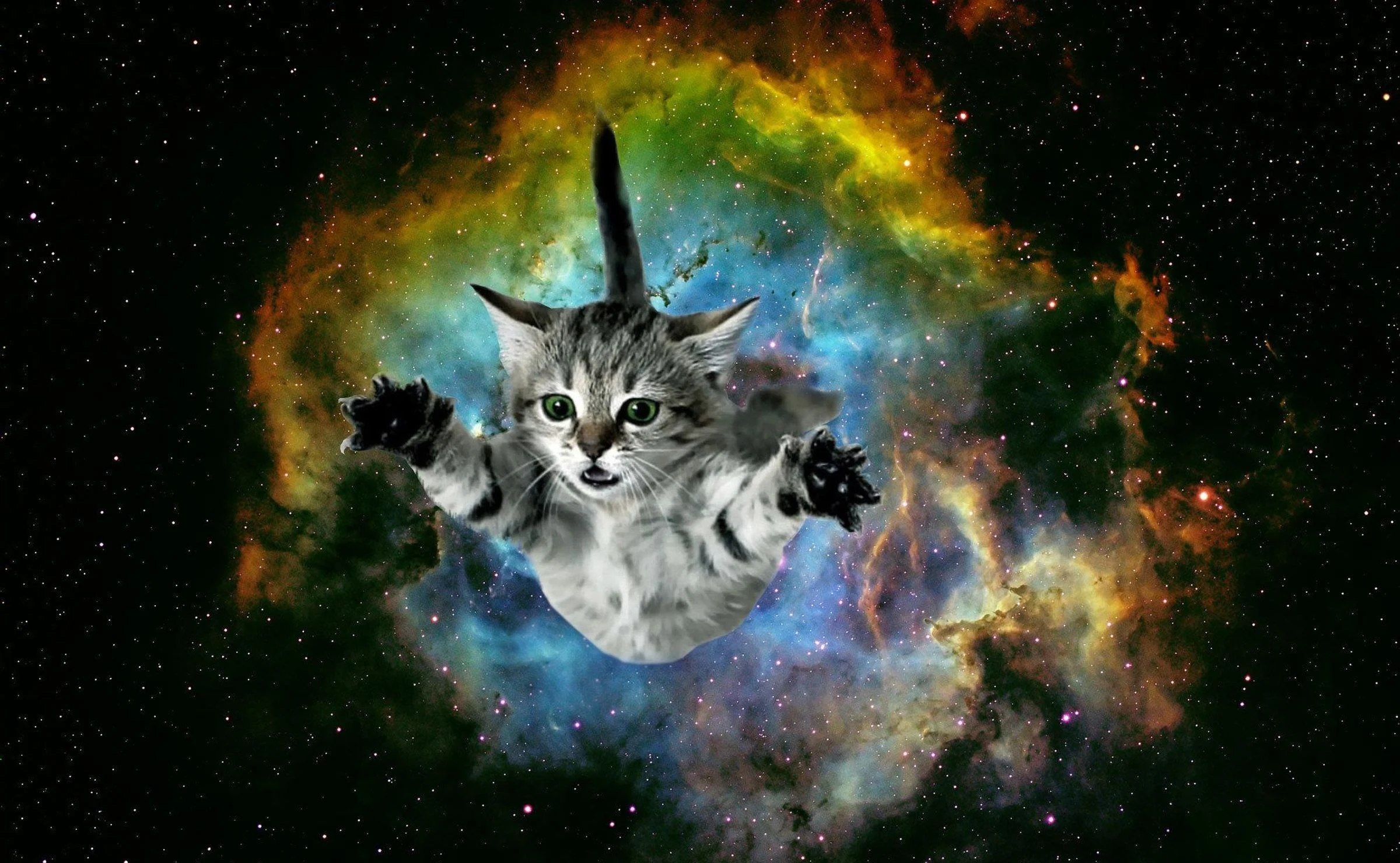 2400x1480 Cat Galaxy Wallpapers Top Free Cat Galaxy Backgrounds