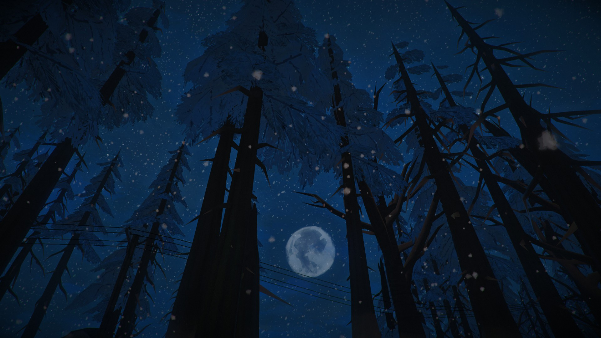 1920x1080 The Long Dark Pine Wood Forest Night Moon Wallpaper Resolution: ID:702325