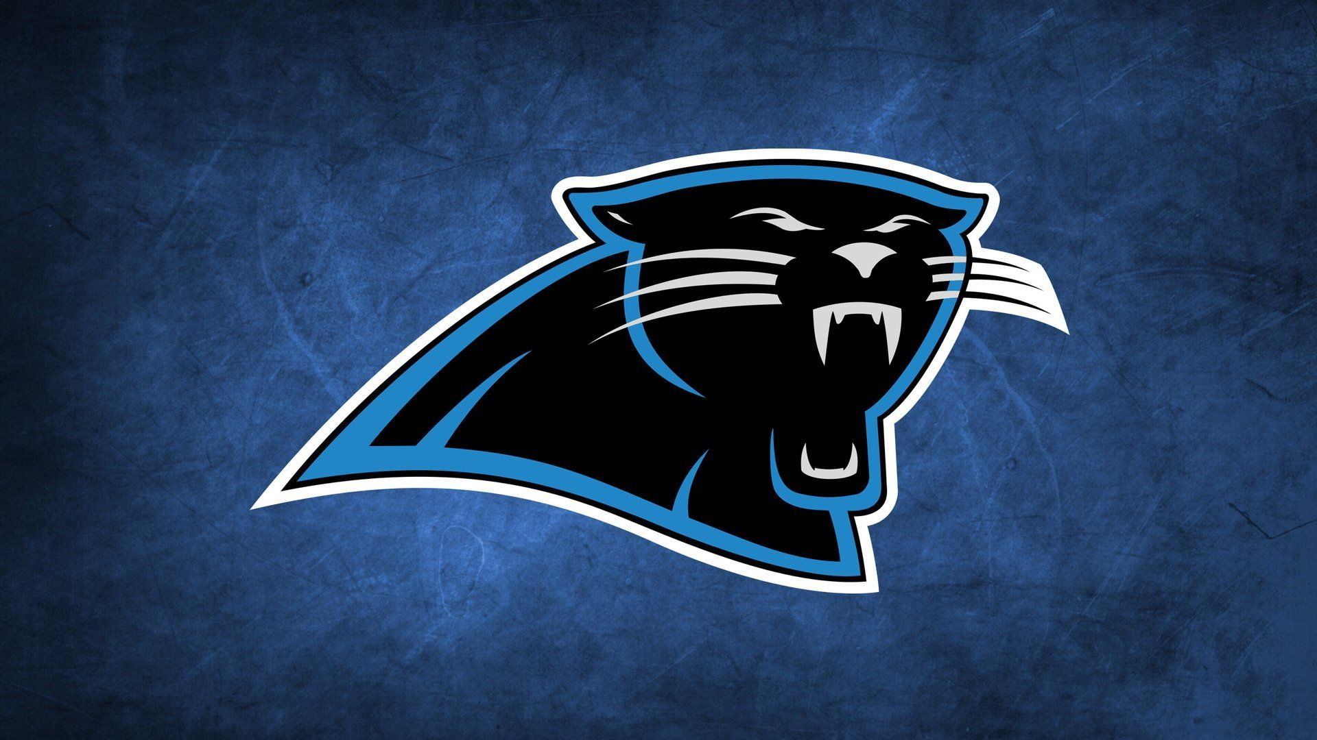 1920x1080 Panthers Logo Wallpapers Top Free Panthers Logo Backgrounds