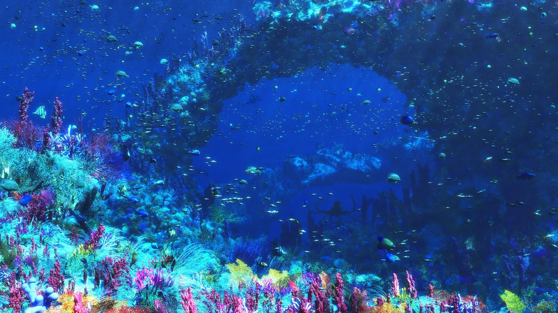 1920x1080 Underwater Laptop Wallpapers Top Free Underwater Laptop Backgrounds