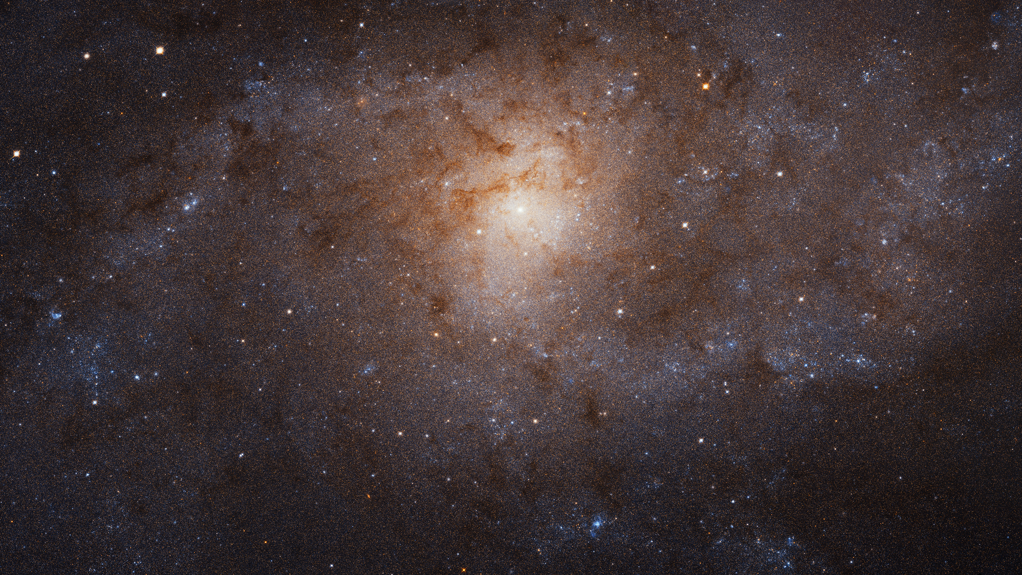 1997x1124 Triangulum Galaxy Shows Stunning Face in Detailed Hubble Portrait | NASA