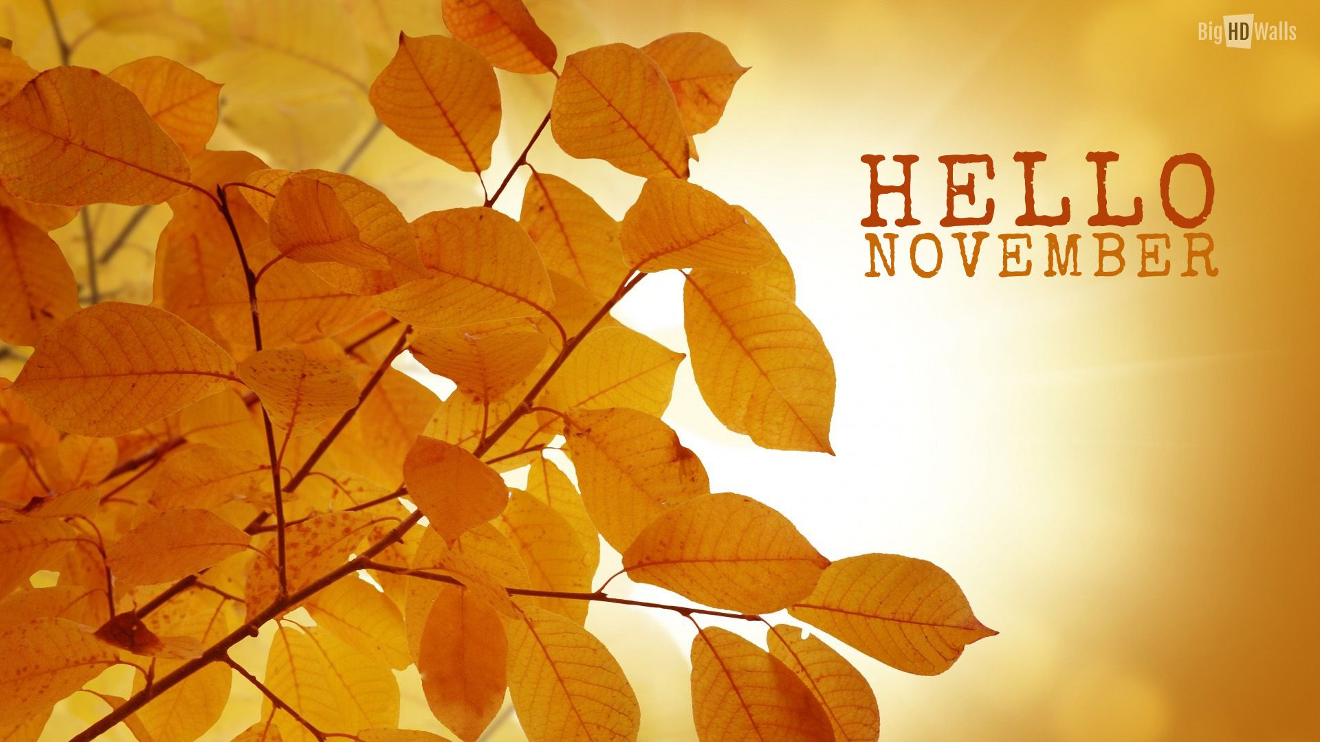 1920x1080 November Wallpapers Top Free November Backgrounds