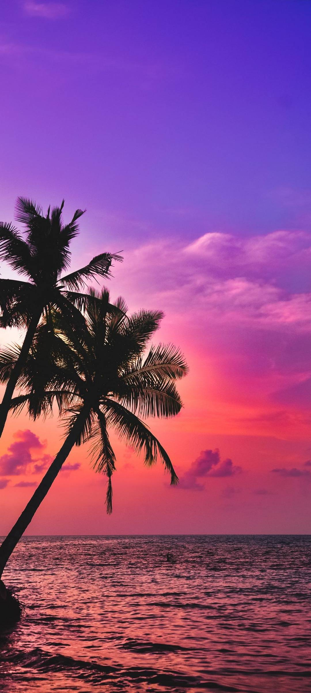 1080x2400 Palm Tree Sunset Beach Wallpaper