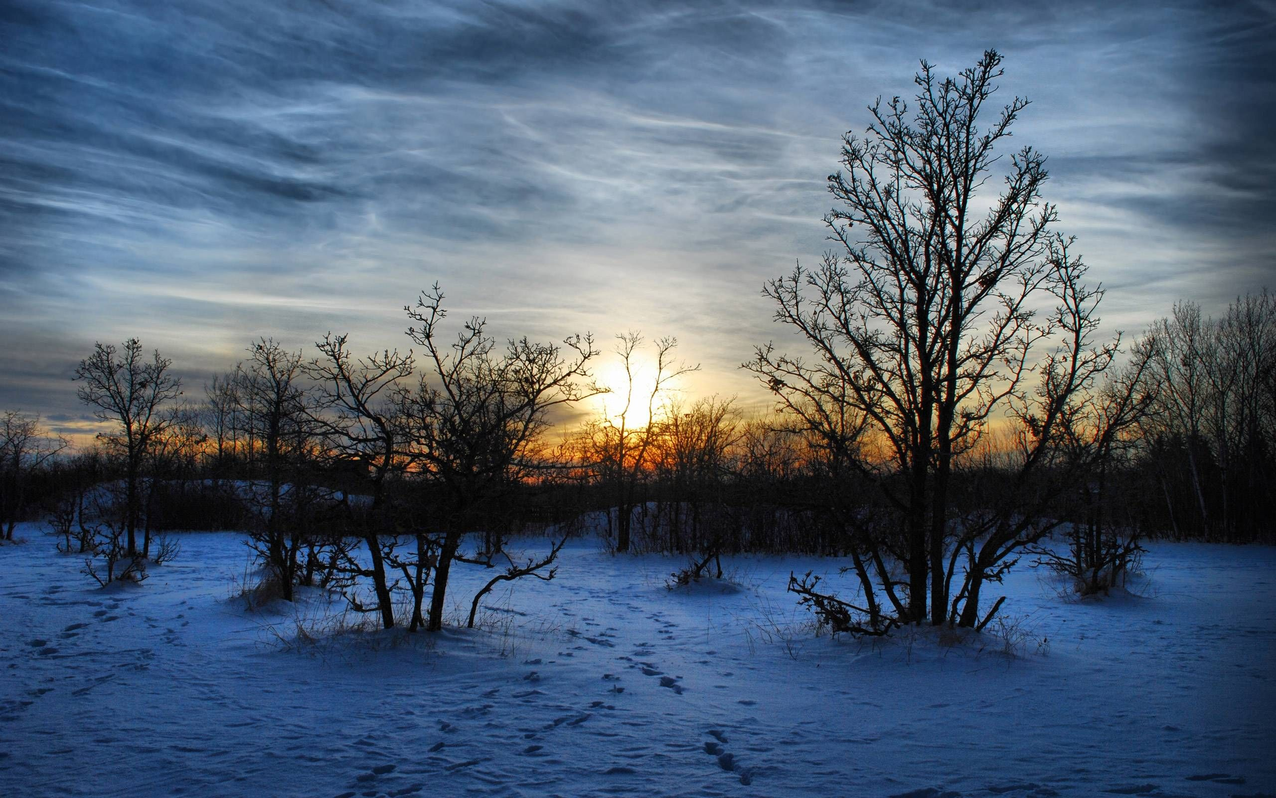 2560x1600 Winter Nature Wallpapers | Winter nature, Beautiful images nature, Winter sunset