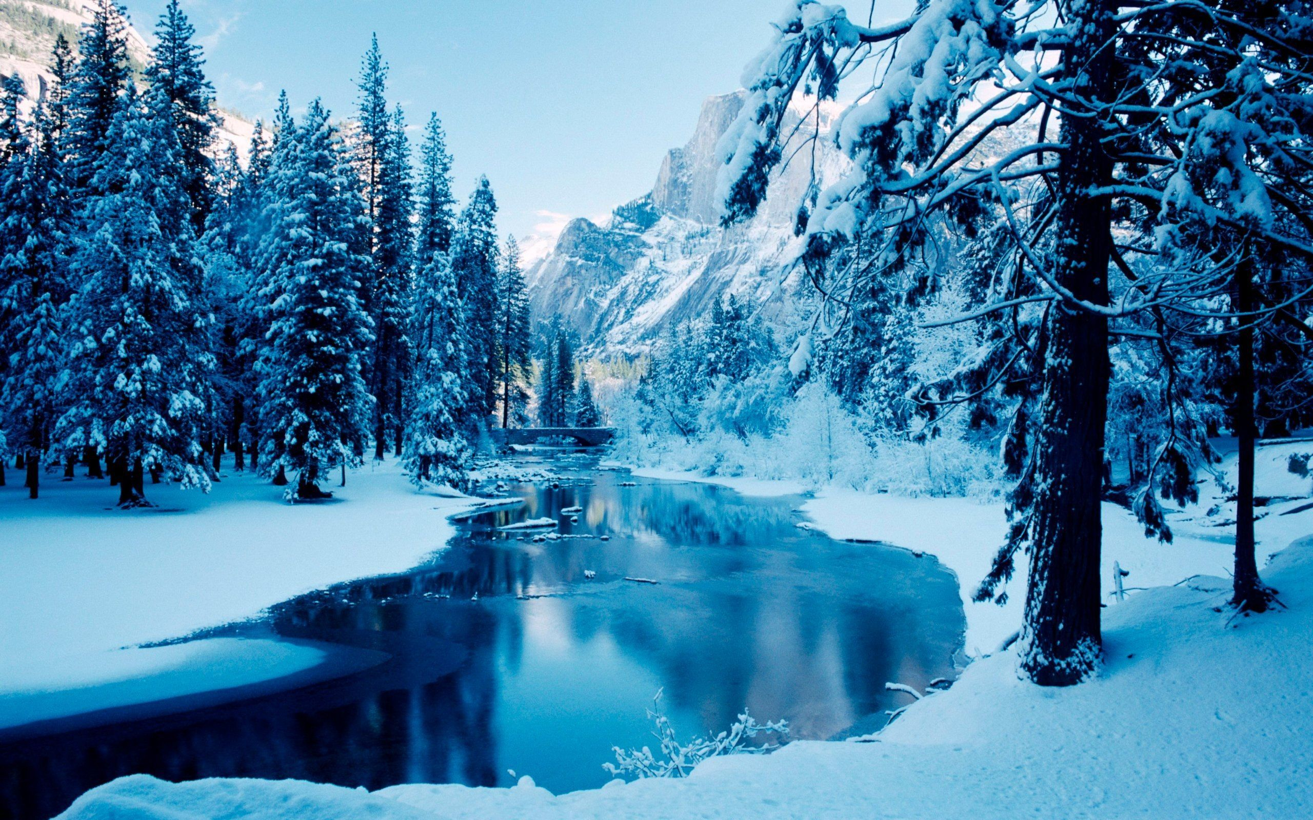 2560x1600 Beautiful Snowfall Wallpapers Top Free Beautiful Snowfall Backgrounds