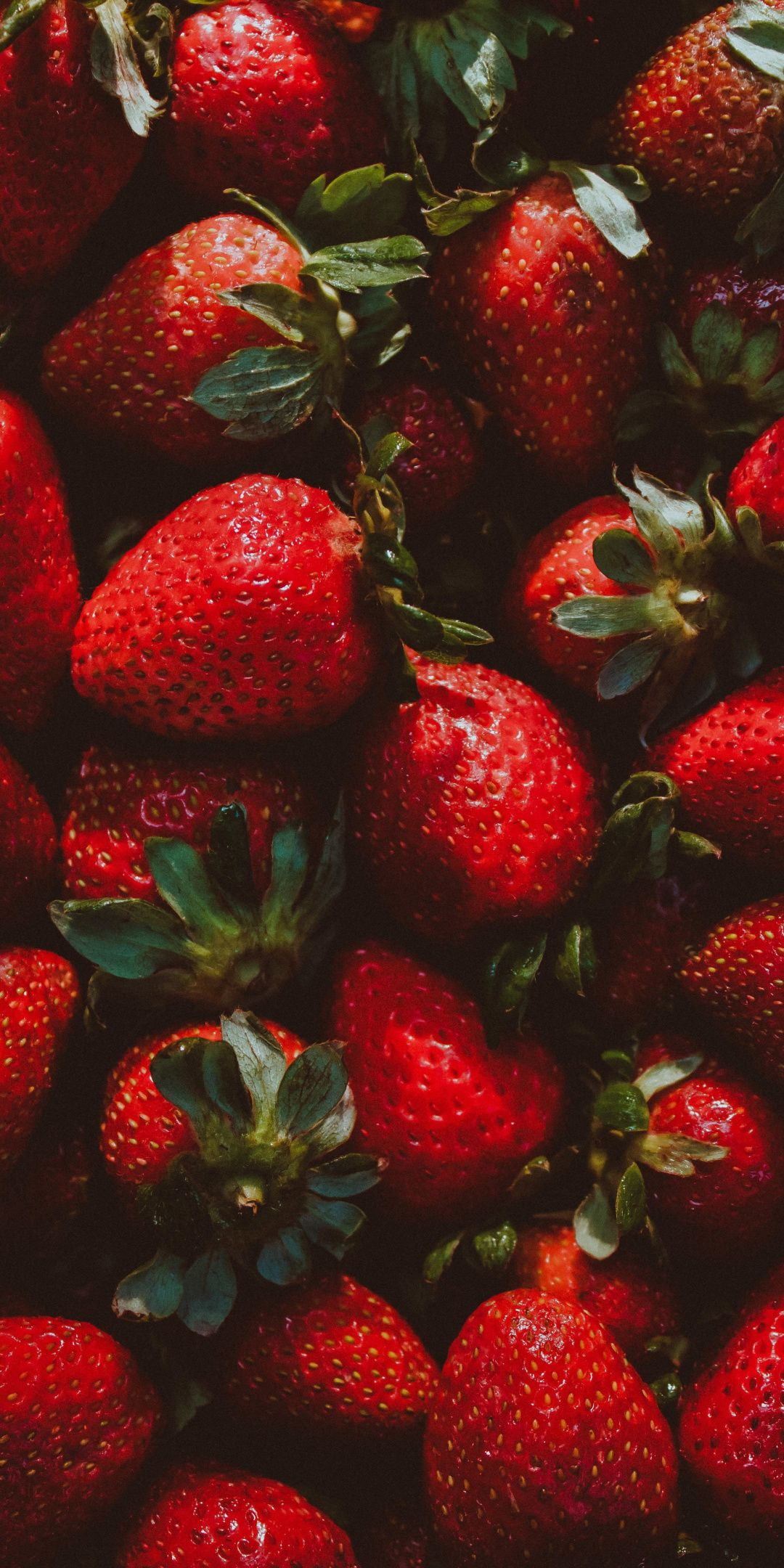 1080x2160 Strawberry, red fruit, fresh wallpaper | Fruit wallpaper, Fruit photography, Red aesthetic