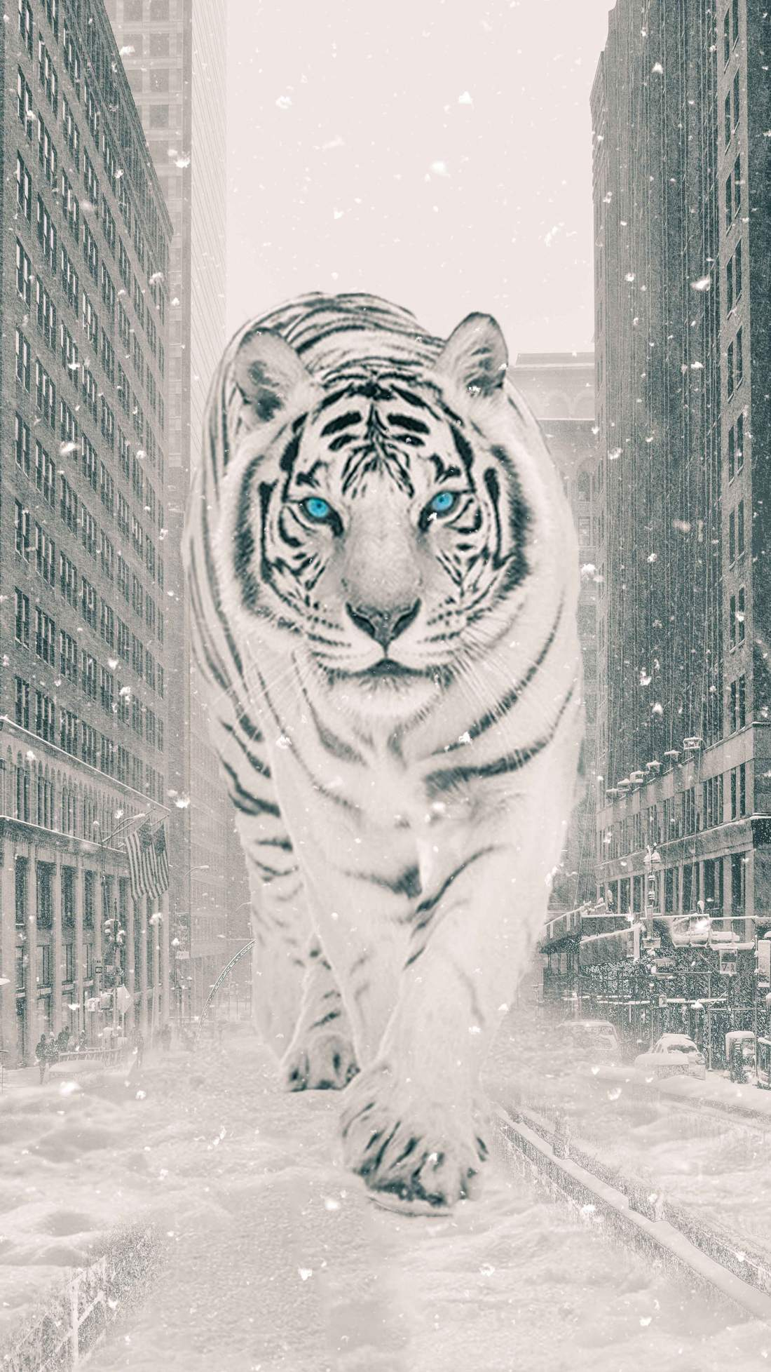 1100x1956 The White Tiger IPhone Wallpaper IPhone Wallpapers : iPhone Wallpapers
