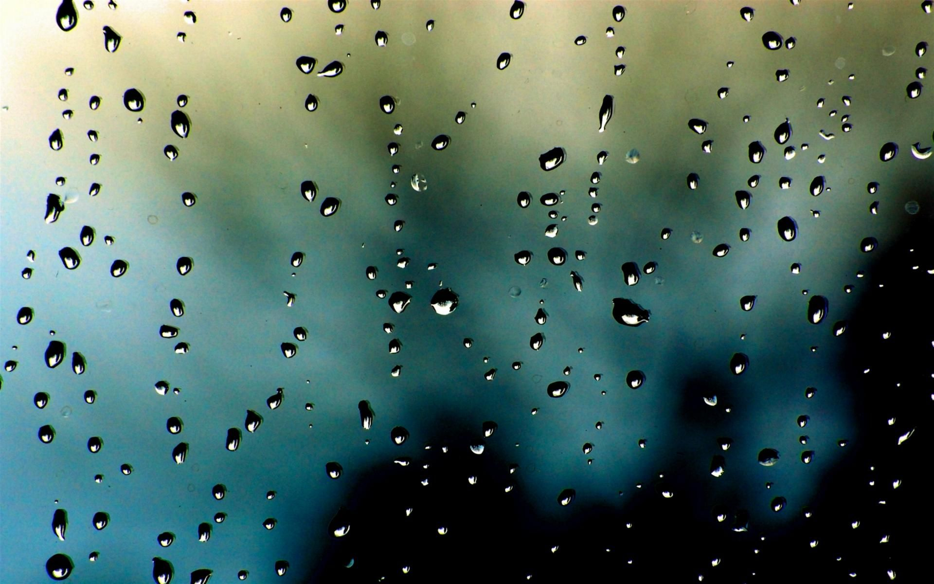 1920x1200 Raindrops on the window | Rainy day wallpaper, Android wallpaper hd backgrounds, Rain wallpapers